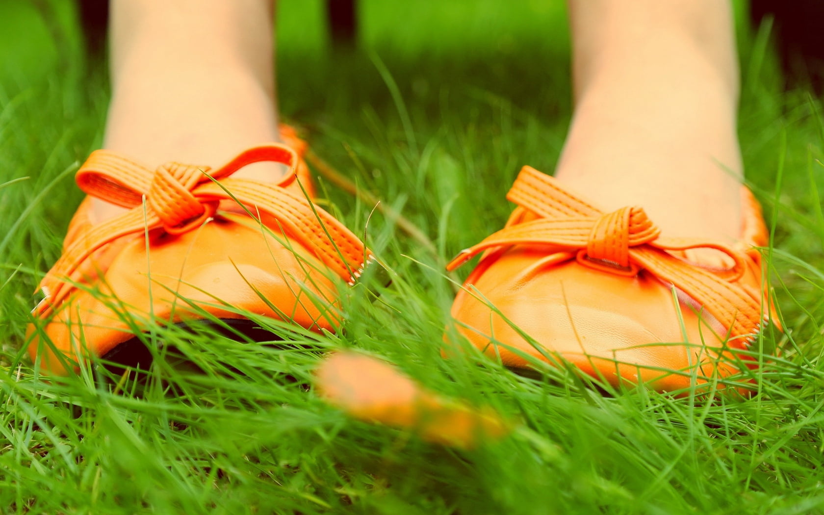 women, green Color, gift, day, ballet flats, human body part, feet, meadow, human Leg, sneakers, lifestyles, holiday, tied bow, flat, close-up, ribbon, HD Wallpaper