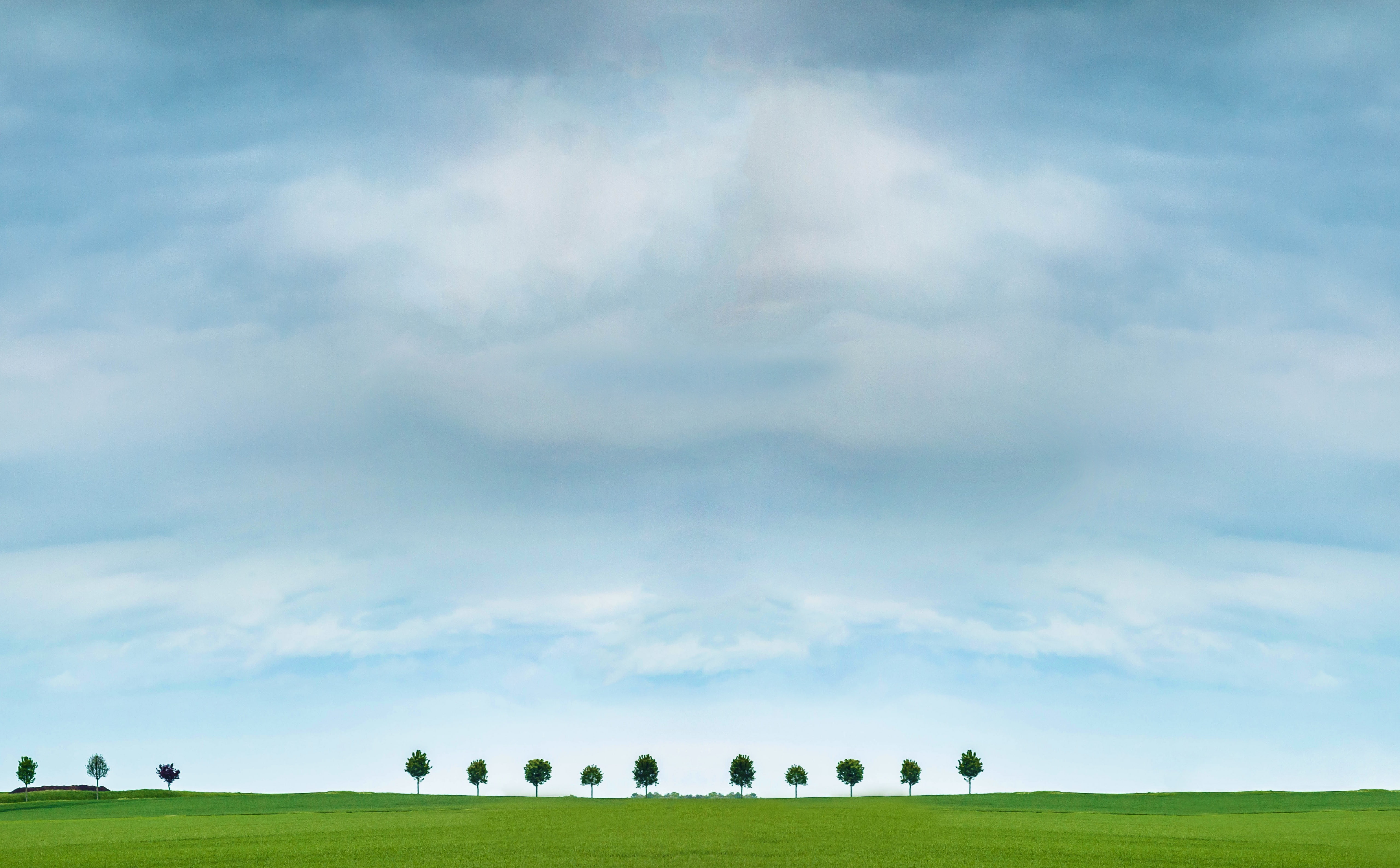 sky, Green, beauty in nature, tranquil scene, Tree, lorraine, epernay, France, Grass, non-urban scene, Countryside, 135mm, environment, cloud - sky, Champagne, HD Wallpaper