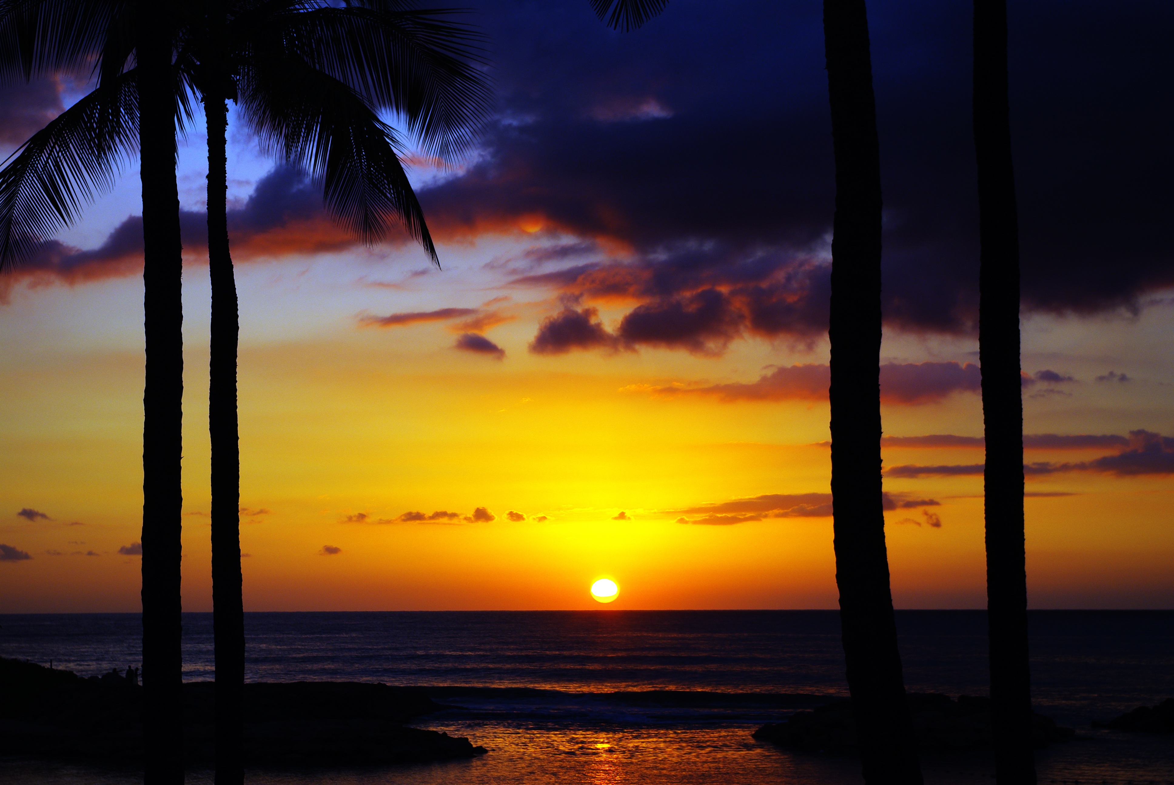 landscape, sea, golden, paradise, horizon over water, vacation, tropical, palm leaf, tranquil scene, shore, silhouette, beach, outdoors, beauty in nature, HD Wallpaper