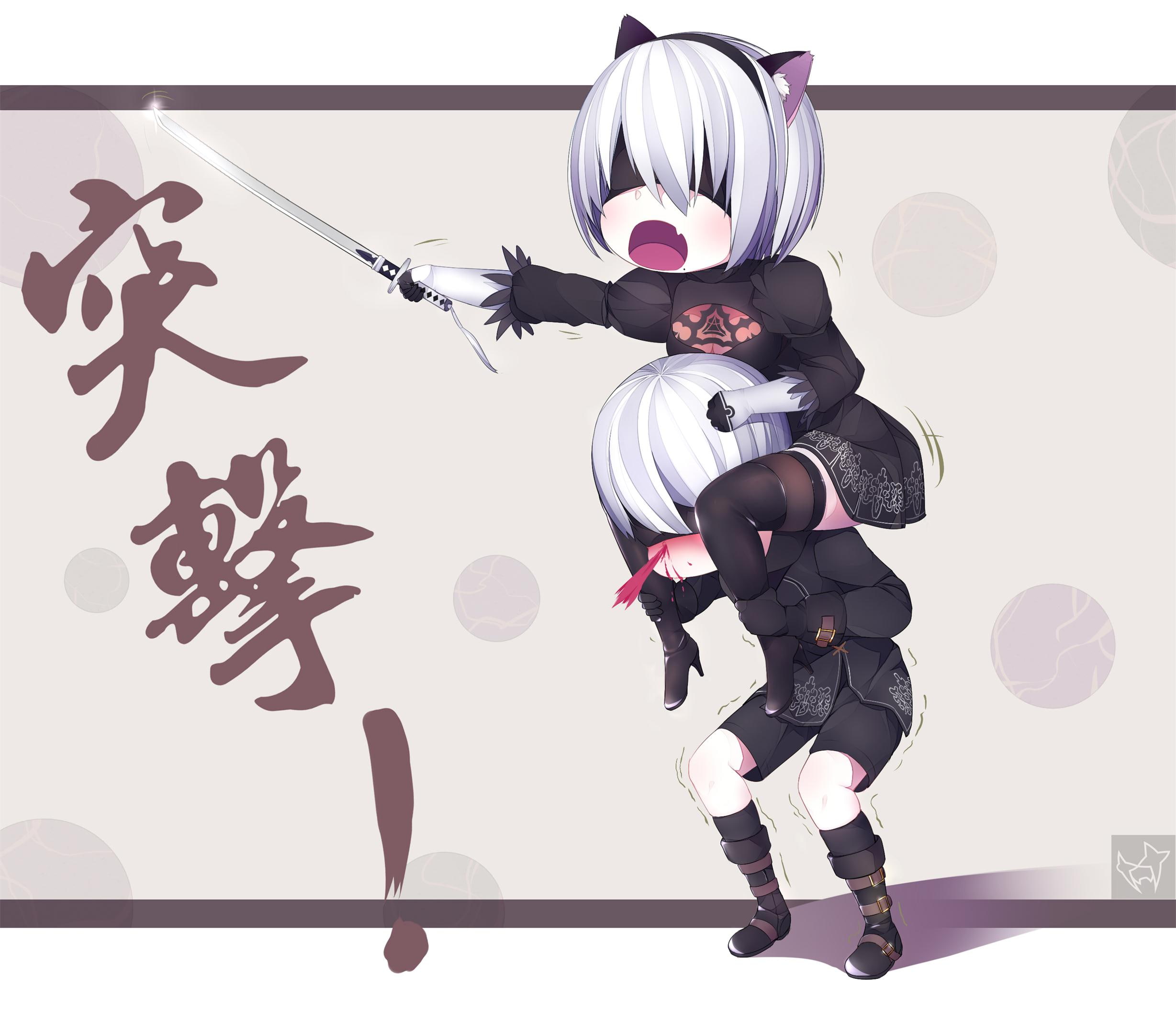 YoRHa No.2 Type B, Video Game, 1080P, NieR: Automata, YoRHa No.9 Type S, HD Wallpaper