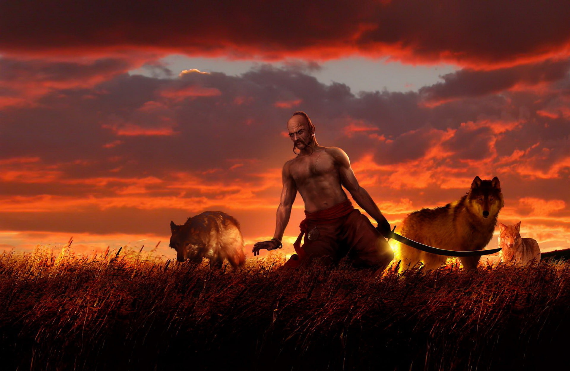 1080P, painting, wolf, Russian, sword, Ukrainian, sabre, kharakternyky, Belarus, HD Wallpaper