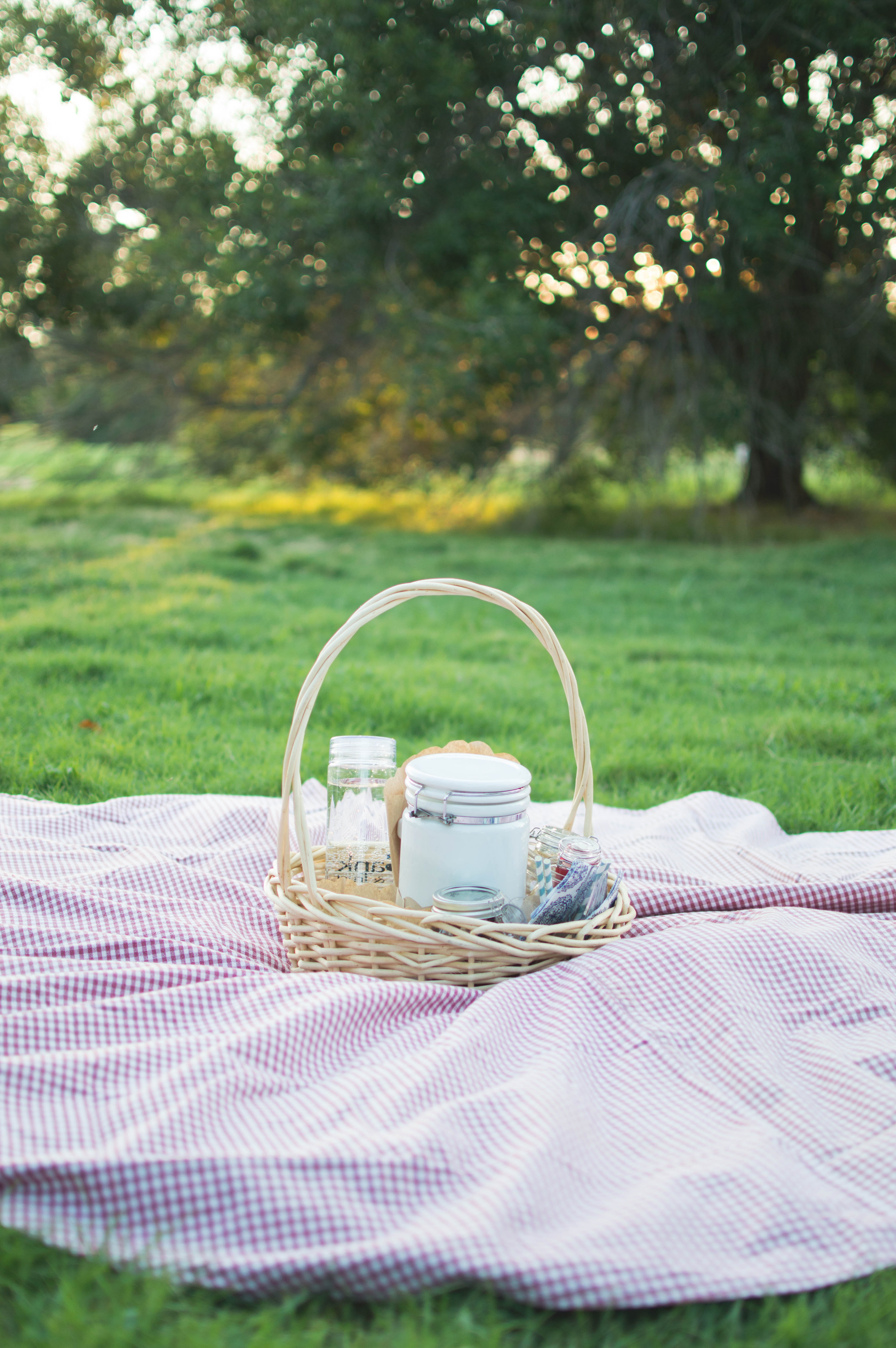 tea cup, crockery, outdoors, refreshment, drink, plant, tablecloth, 5K, tea - hot drink, hot drink, trees, glass, textile, park, mug, tea, fun, lubbock, Phone HD Wallpaper