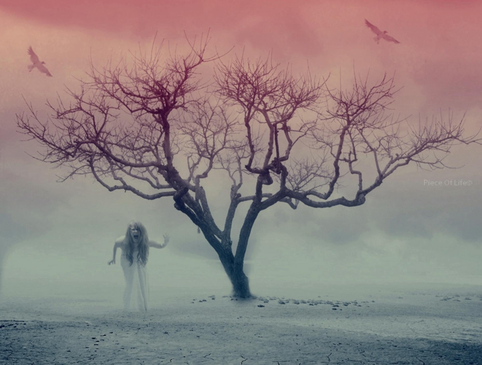 horror, possessed, 3d and abstract, 1080P, screaming, possession, scary, HD Wallpaper
