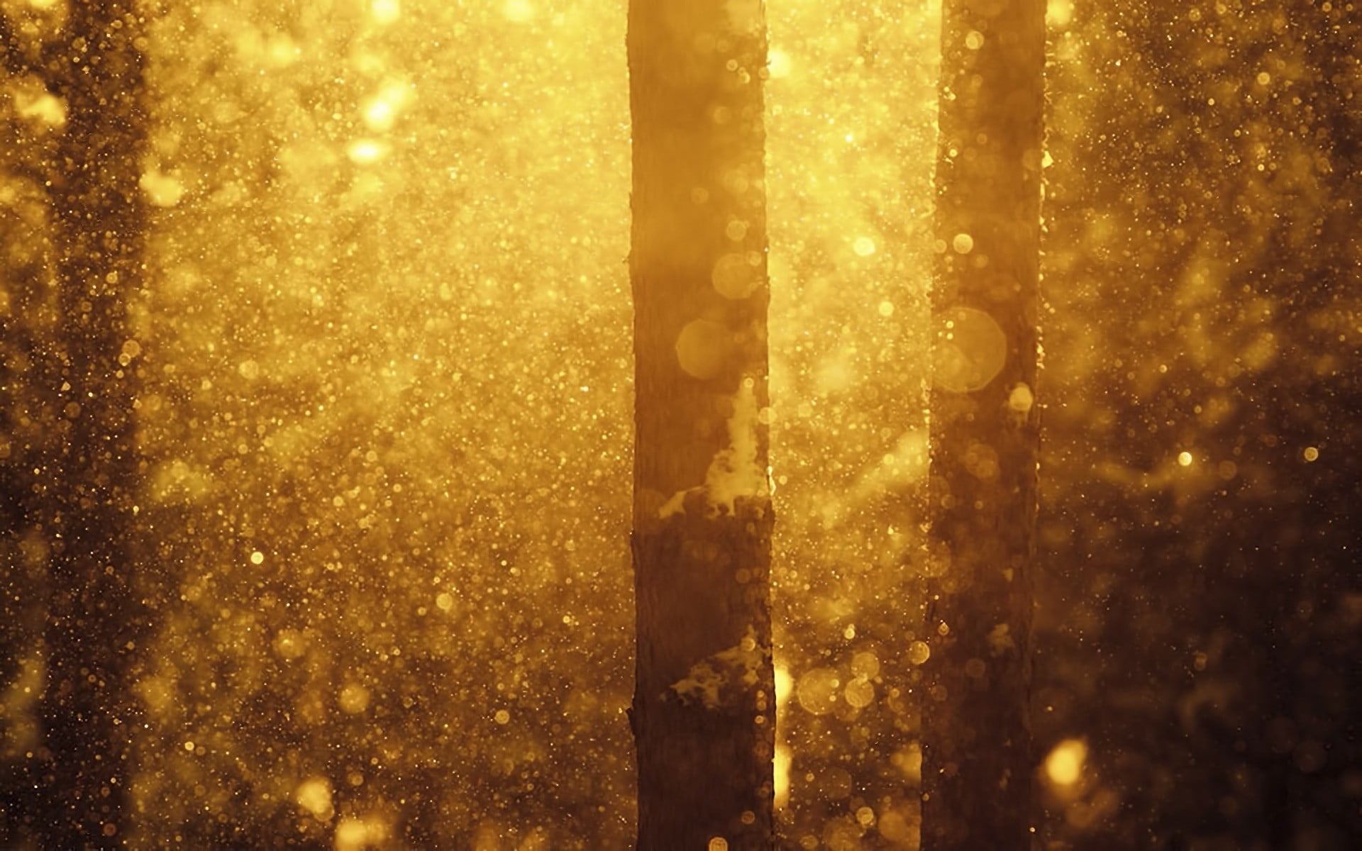 abstract, cold temperature, decoration, nature, gold Colored, winter, sunbeam, night, bokeh, sun, close-up, christmas, sunlight, light - Natural Phenomenon, HD Wallpaper