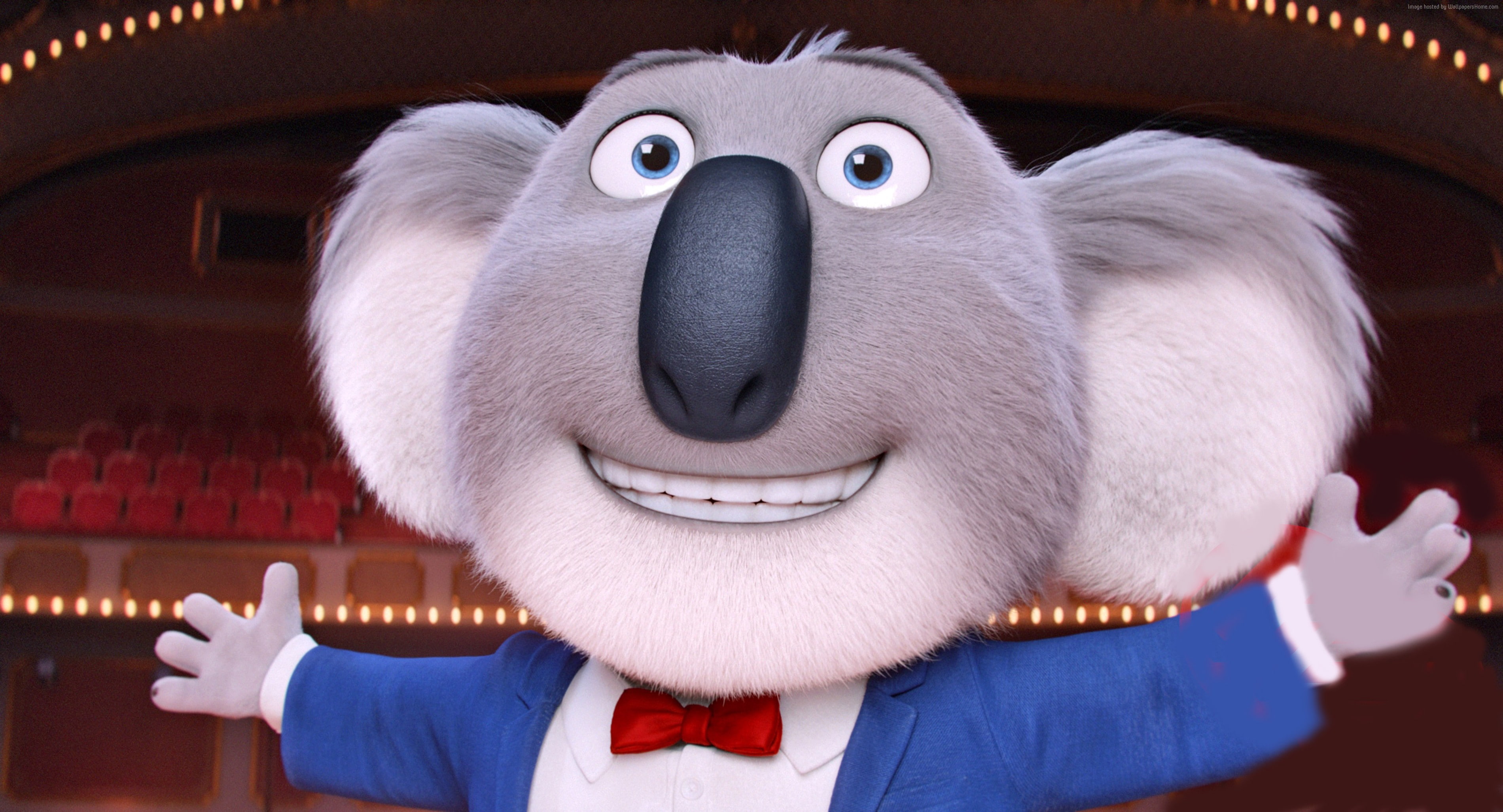 best animation movies of 2016, matthew mcconaughey, 2K, buster, Sing, koala, HD Wallpaper