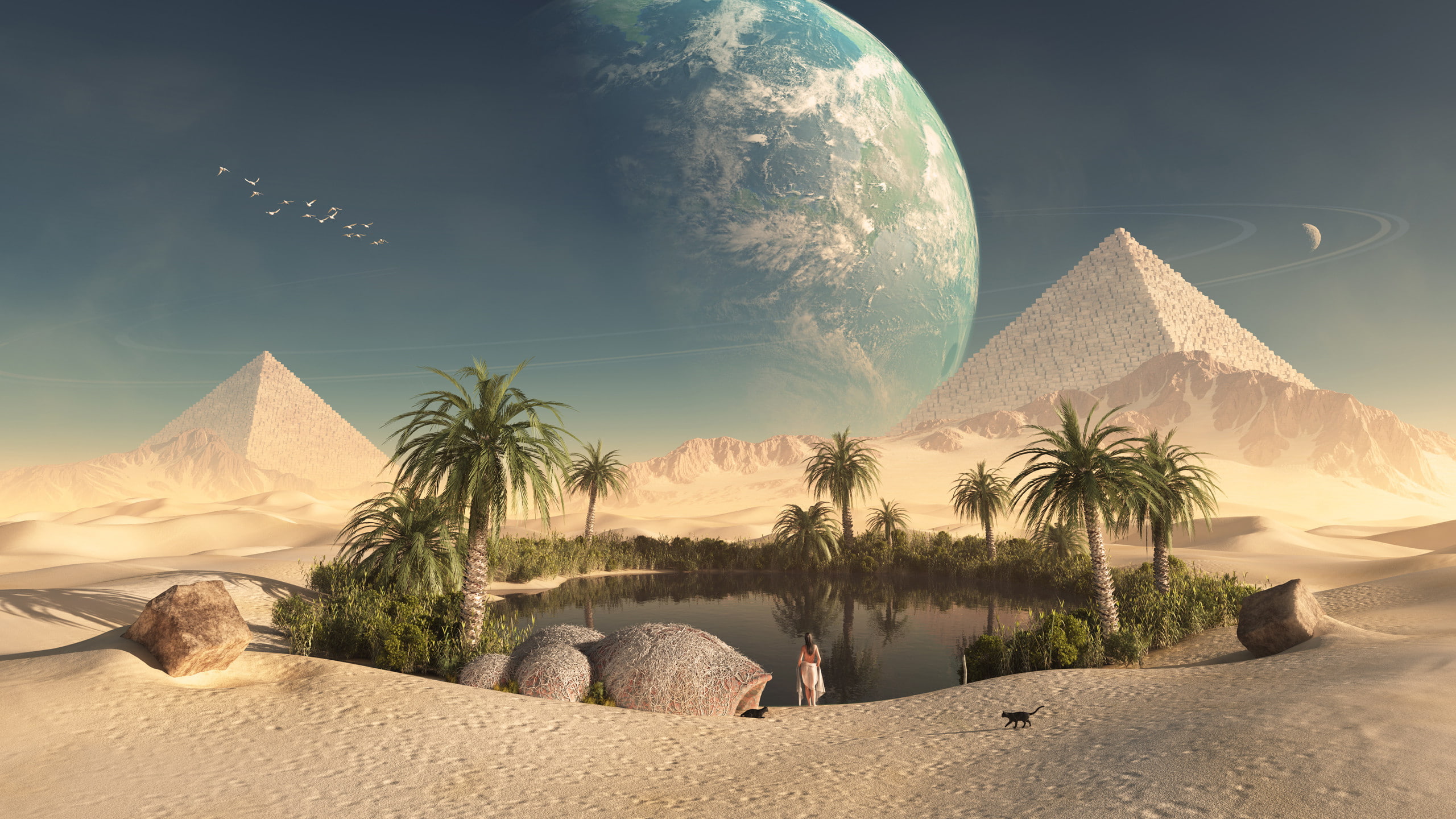 wpkqegtn, romance, 2560x1440, highres, chemical, 2K, hd digitall, digital, rendering, cartoon, HD Wallpaper