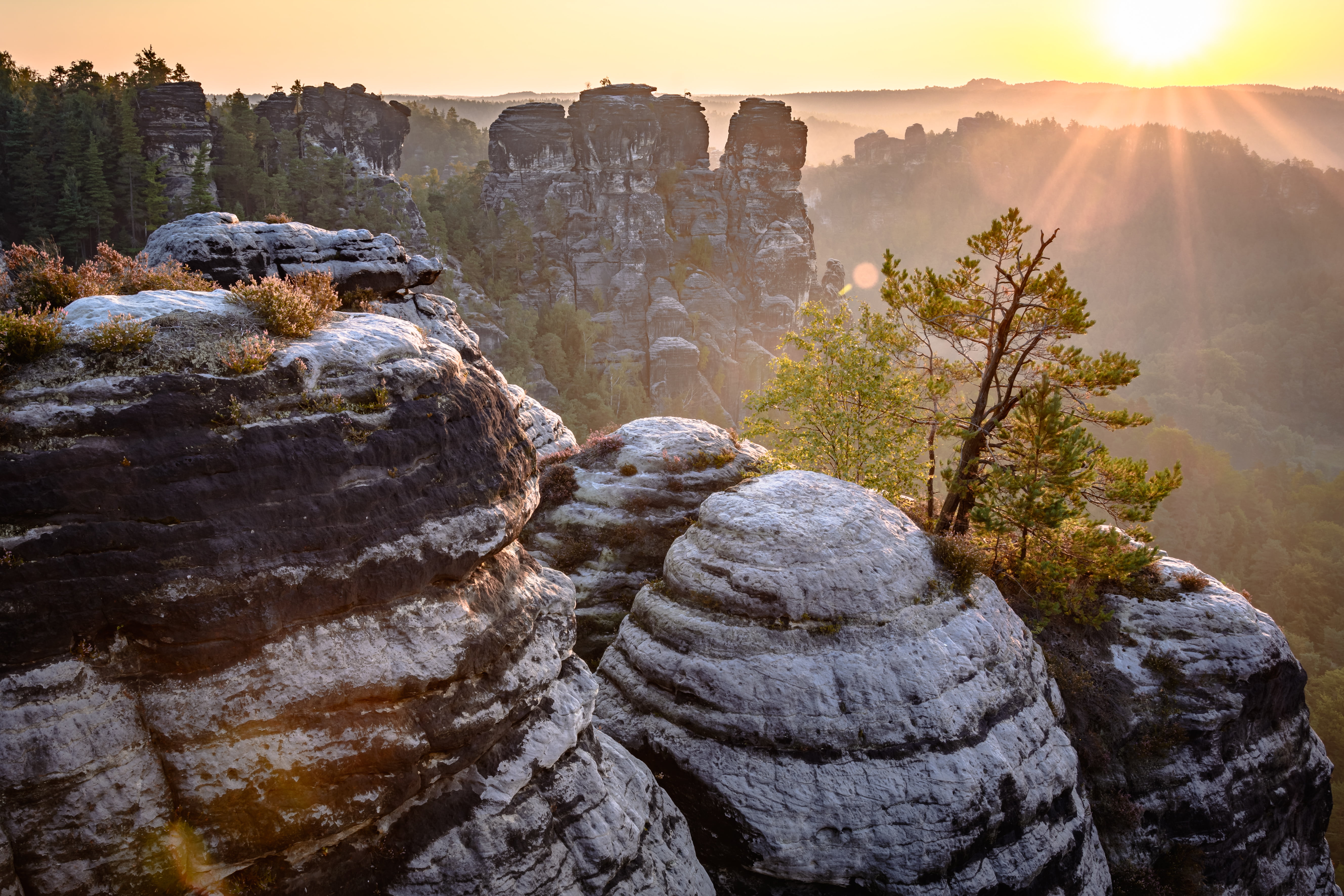 sun rise, black, sun, beside, Bastei, 5K, huge, gray, rise, forest, sunrise, rock, Elbsandsteingebirge, Sunlight, HD Wallpaper