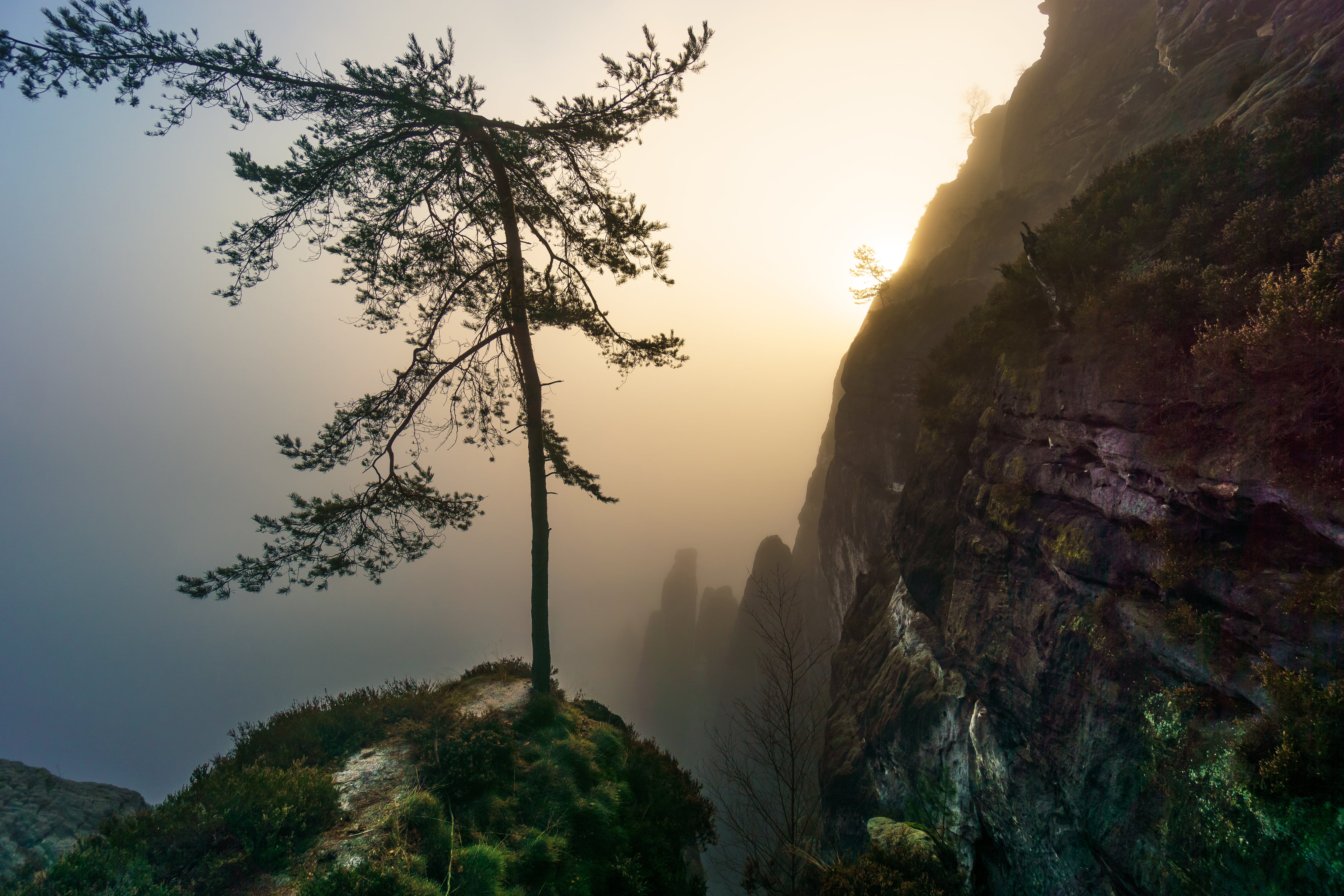 tall, Elbsandsteingebirge, outdoors, scenics, beside, rock fall, fall, Tree, Nebel, Bastei, Sächsische-Schweiz, 4K, rock - Object, Lohmen, Baum, Sachsen, HD Wallpaper