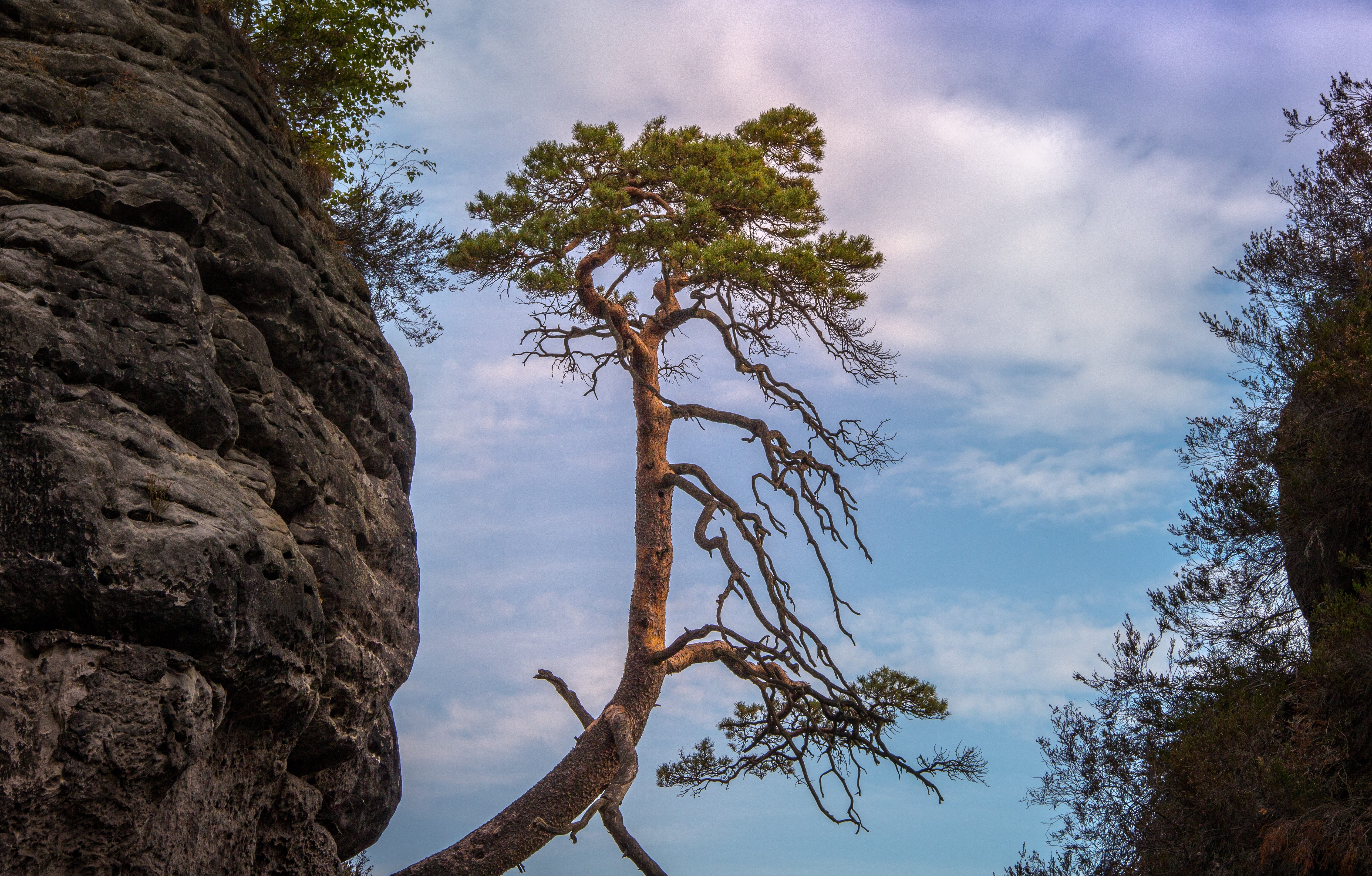 landscape, schrammsteine, non-urban scene, mountains, branch, landscape photography, sand stone, germany, tranquility, target, elbe sandstone mountains, HD Wallpaper