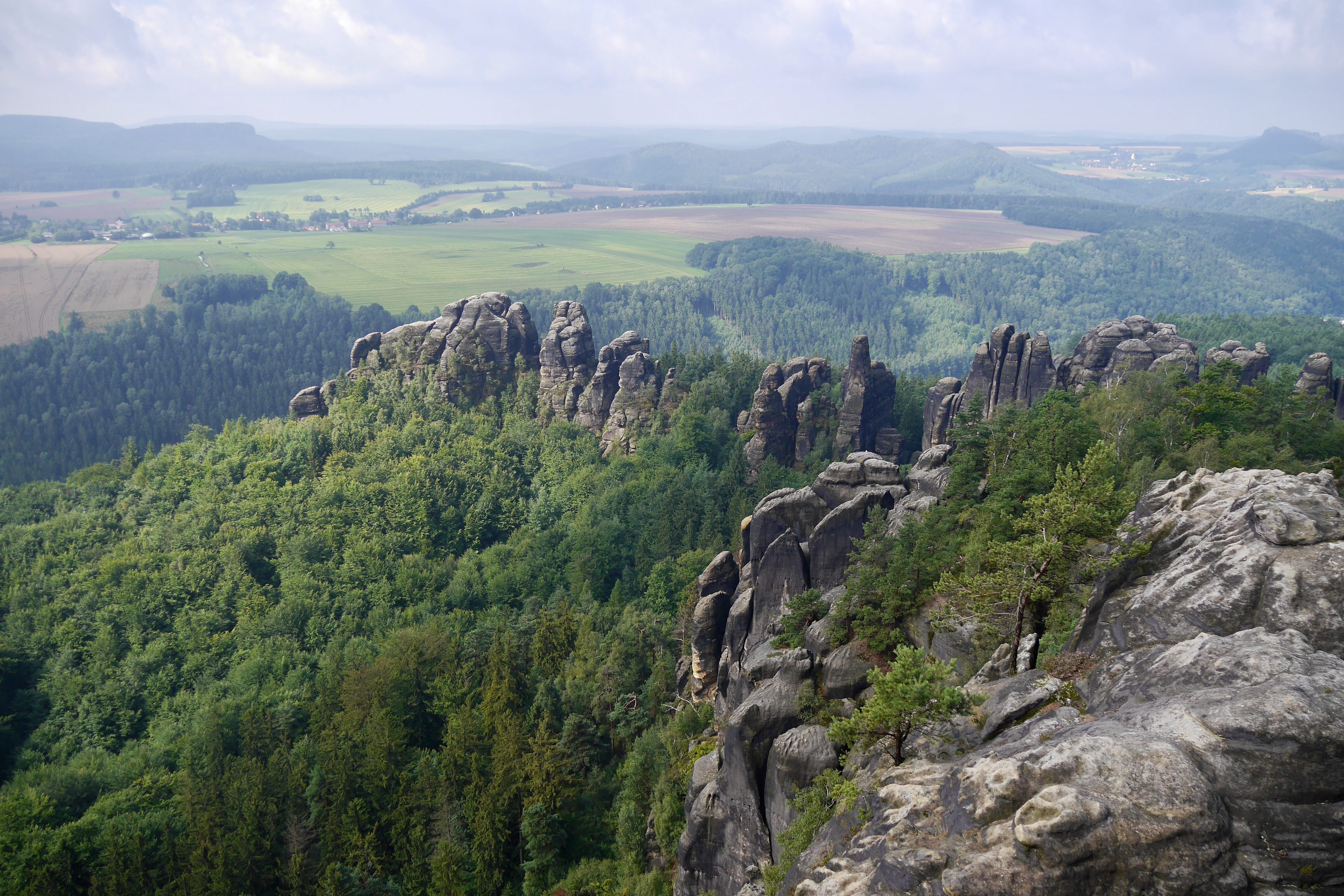 saxon switzerland, idyllic, tranquil scene, outdoor, plant, rock, green, environment, green color, landscape, scenics - nature, europe, no people, nature, HD Wallpaper