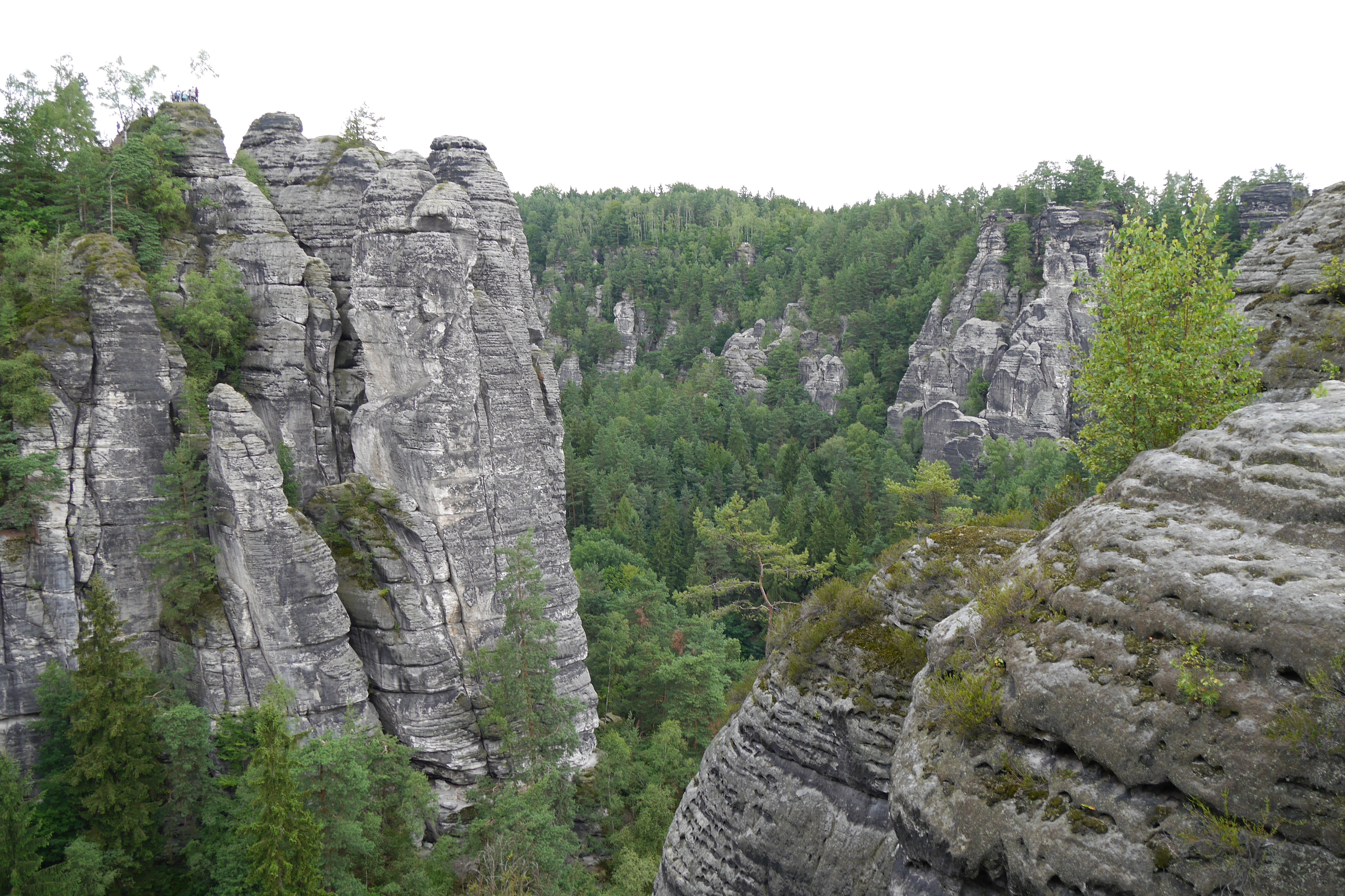 tranquility, tranquil scene, sky, non-urban scene, growth, solid, outdoors, valley, bastei, stone, landscape, saxon switzerland, formation, eroded, beauty in nature, HD Wallpaper