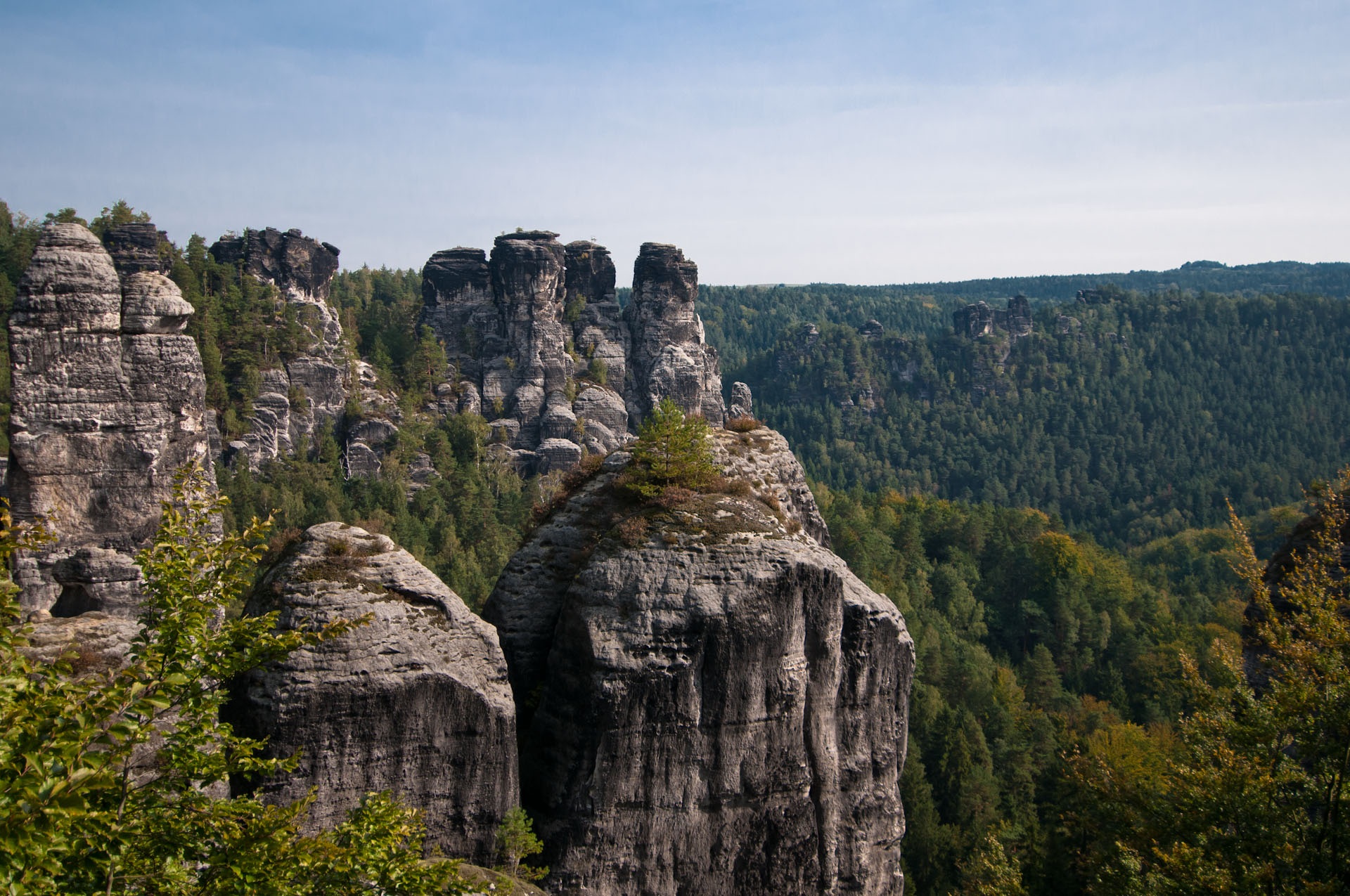no people, pine tree, environment, rock formation, outlook, saxon switzerland, nature, forest, tranquility, outdoors, beauty in nature, plant, 1080P, mountains, HD Wallpaper