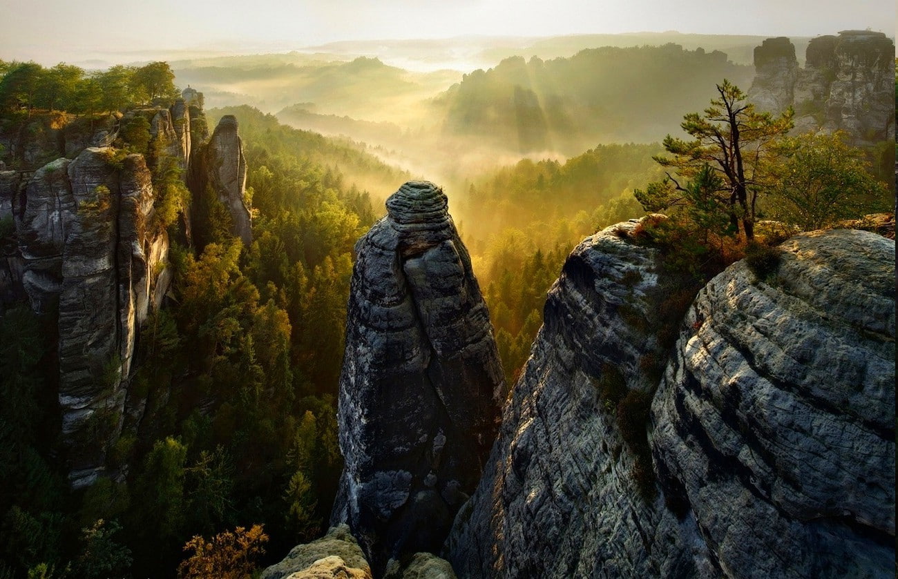 forest cliff mist valley trees sunrise sun rays saxon switzerland mountain nature landscape, 720P, HD Wallpaper