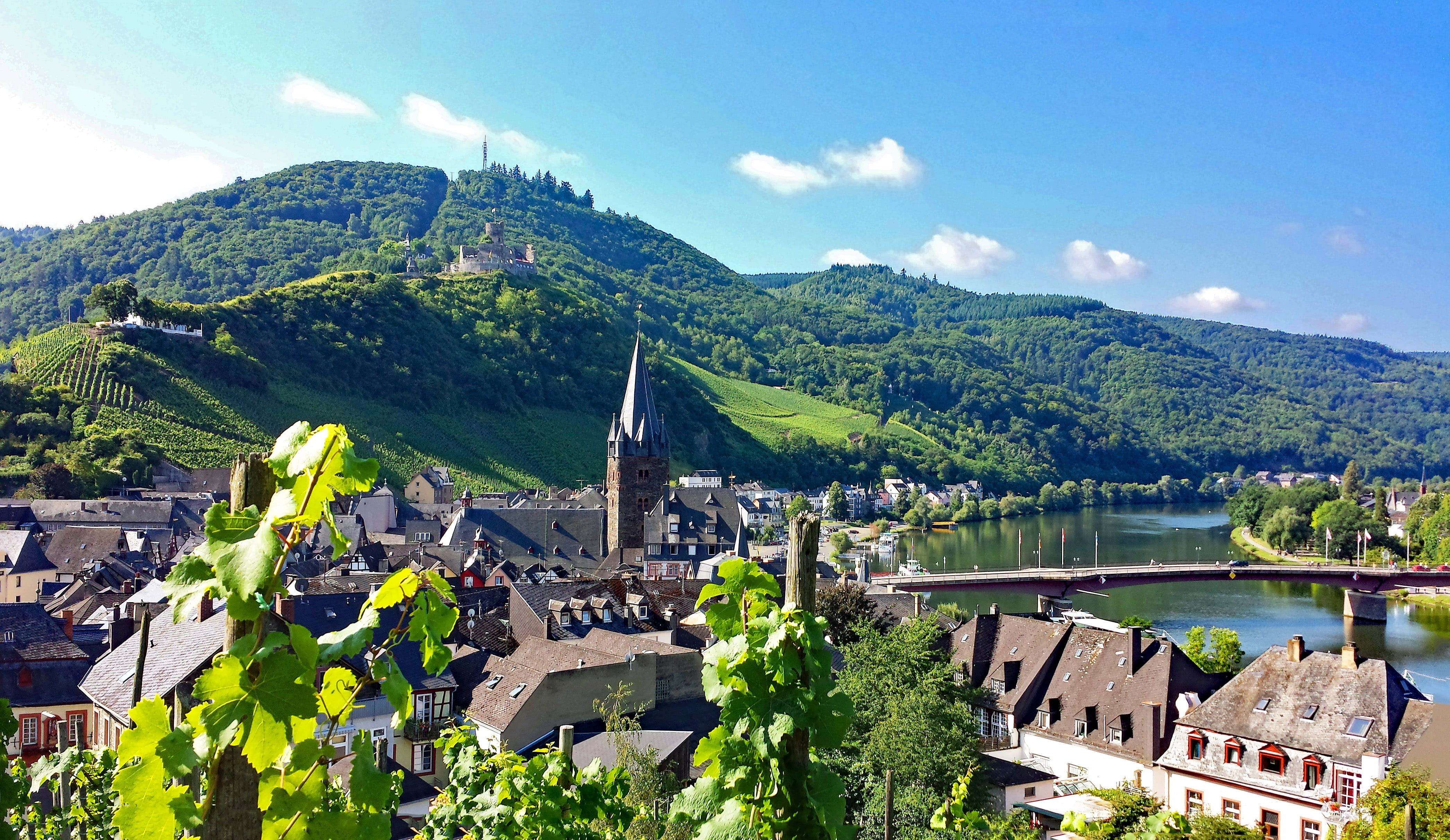 landshut, mountain, nature, outdoors, Sachsen, village, history, germany, wine, cityscape, no people, the past, day, building, building exterior, castle, HD Wallpaper