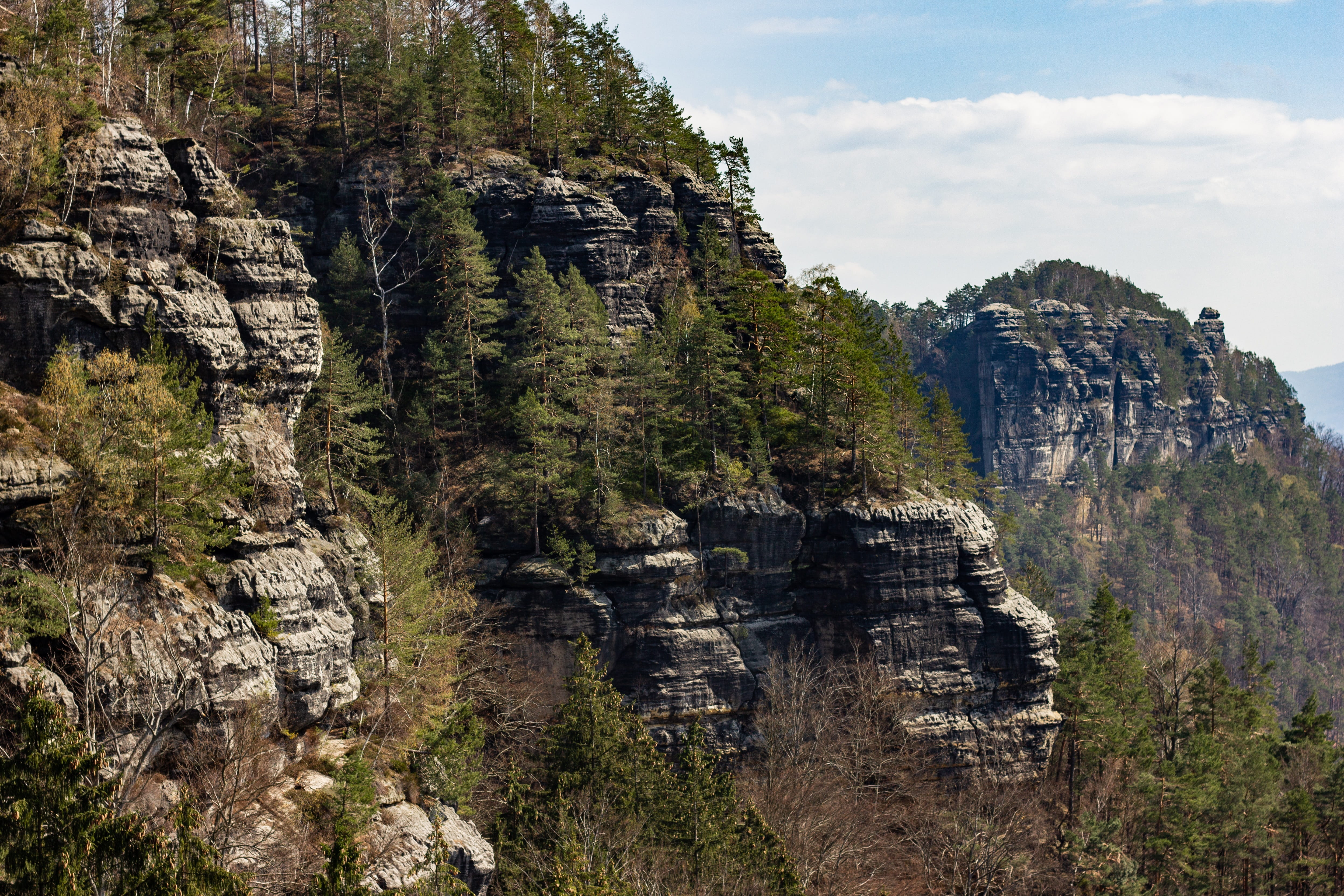 environment, beauty in nature, hiking, scenics - nature, land, outdoors, mountains, 4K, day, elbe sandstone, mountain, rock formation, landscape, tree, HD Wallpaper