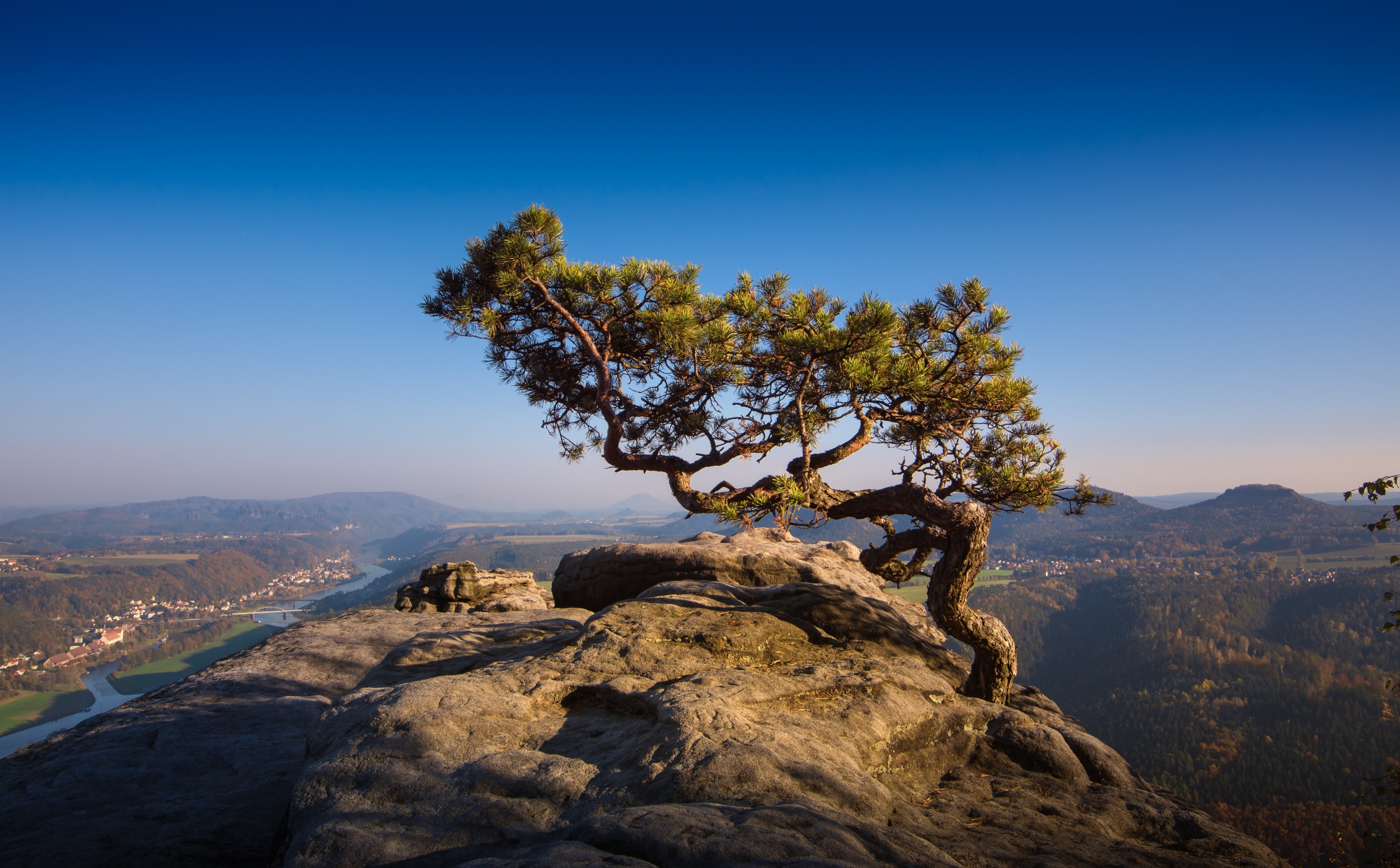 solid, non-urban scene, Tree, Photo, blue, climate, Mountains, environment, mountain, arid climate, rock, Scenery, Hike, clear sky, tranquil scene, 5K, HD Wallpaper