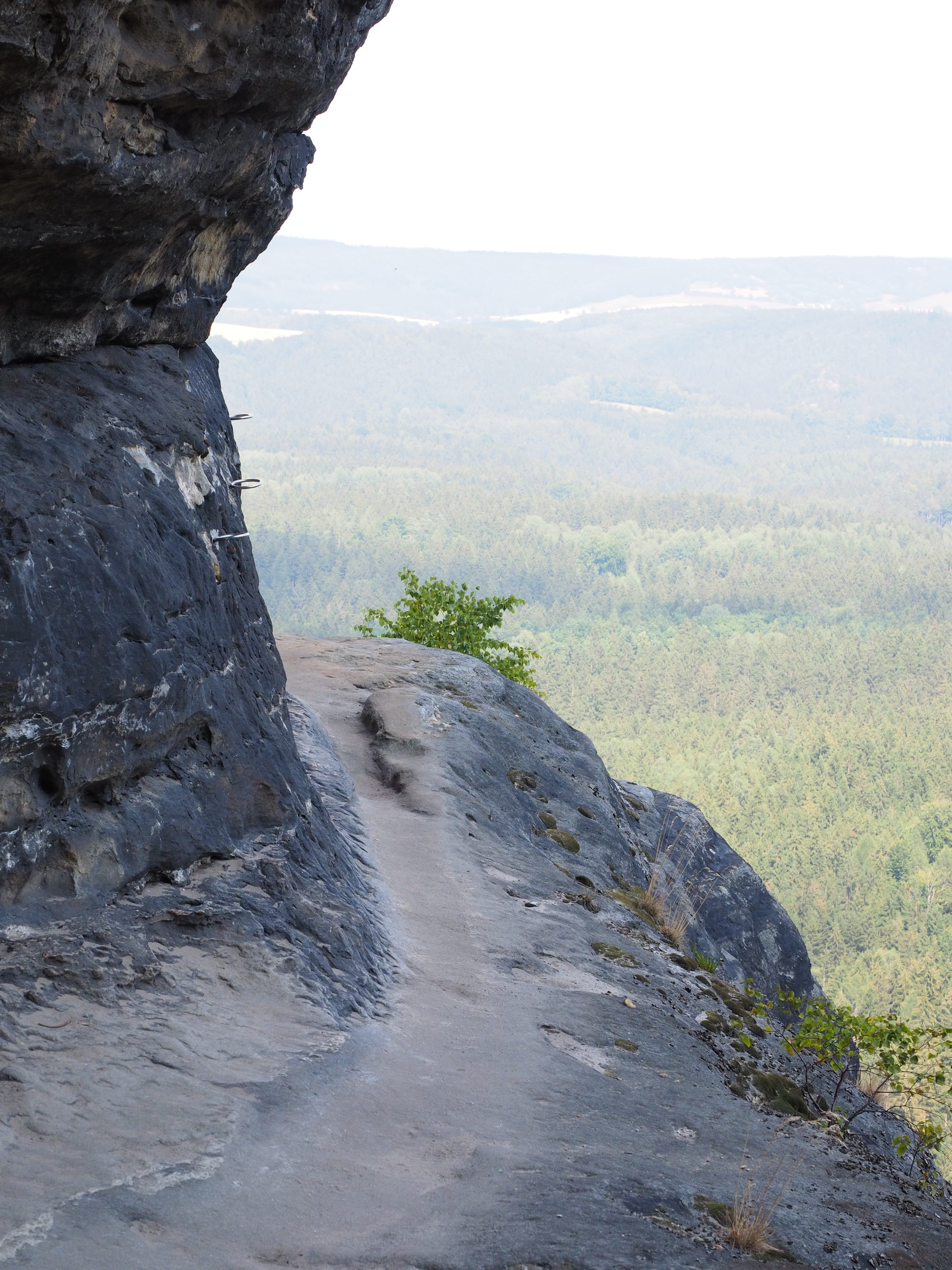 trail, day, environment, plant, frienstein, tree, saxon switzerland, mountain, rock, exposed, tranquility, sandstone mountain, outdoors, solid, land, scenics - nature, Phone HD Wallpaper