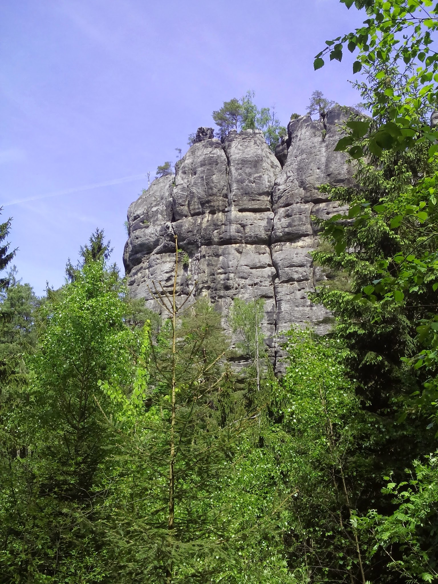 saxon switzerland, forest, green color, scenics - nature, saxony, landscape, no people, sky, plant, low angle view, tranquil scene, day, nature, sand stone, Phone HD Wallpaper