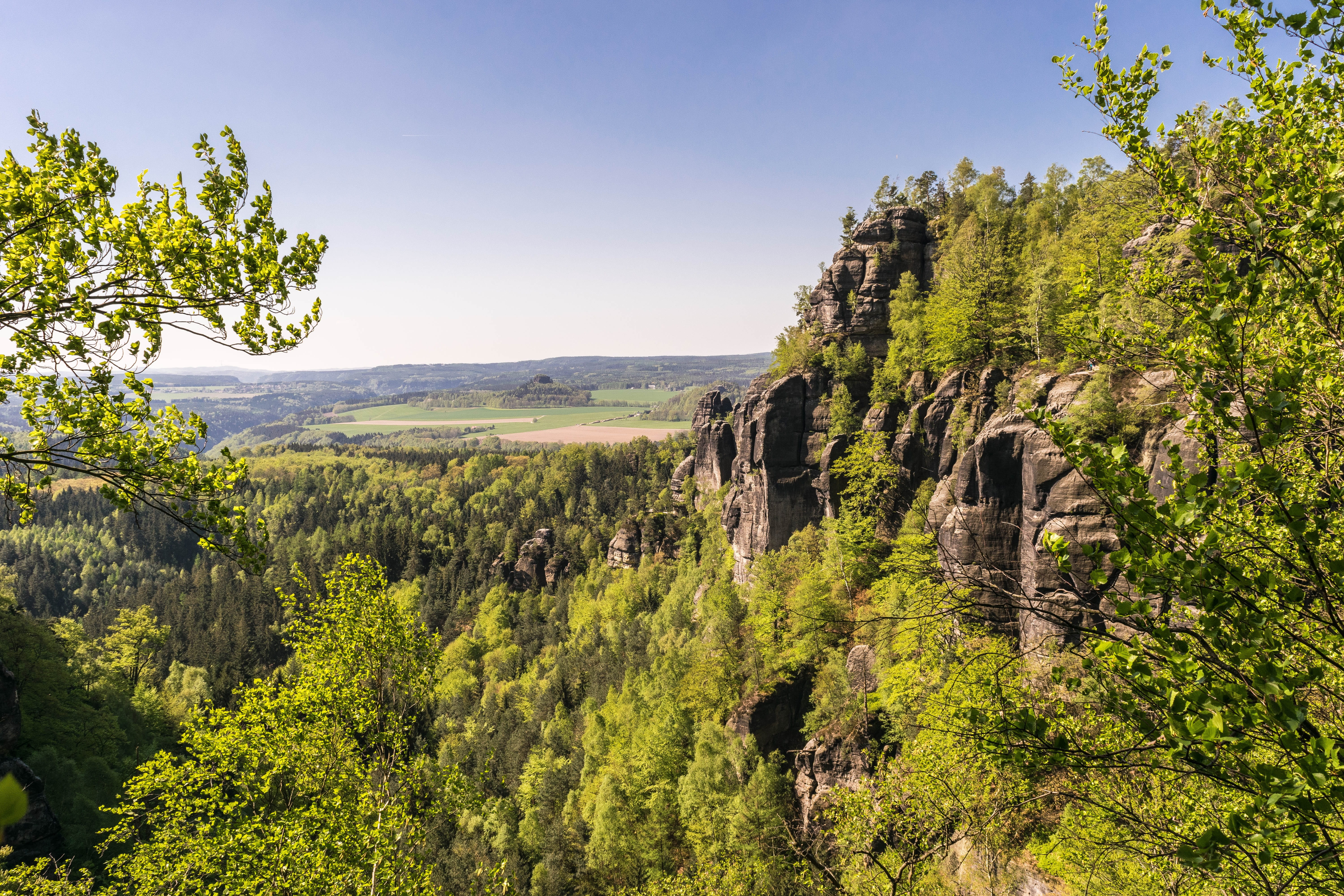 pine tree, distant view, elbe sandstone mountains, saxon switzerland, 5K, plant, beauty in nature, land, environment, mountains, coniferous tree, mountain, HD Wallpaper
