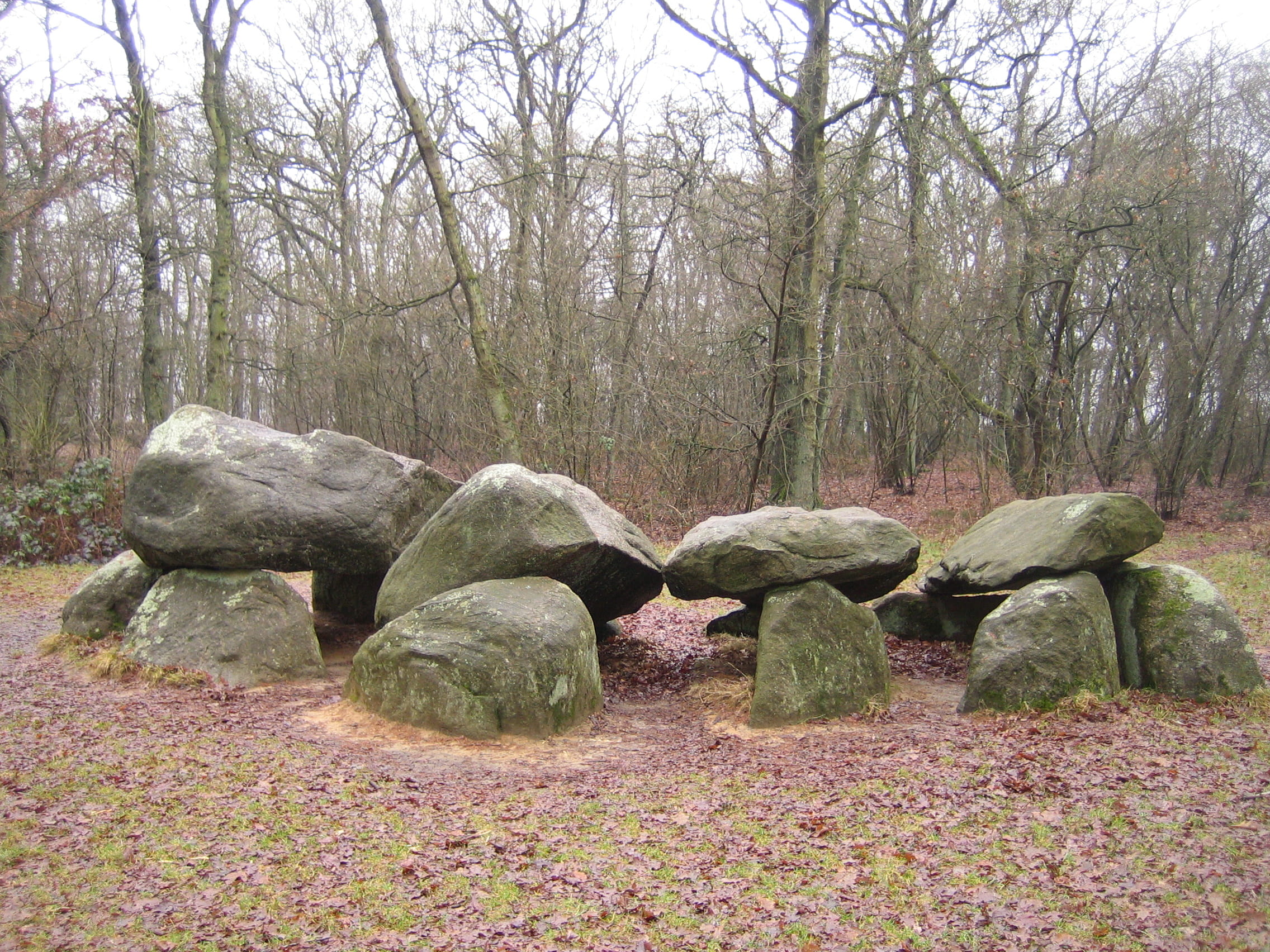 field, rock - object, non-urban scene, forest, megalith, nature, tranquility, megalithic structure, hunebed, netherlands, no people, 1080P, rock, green color, HD Wallpaper