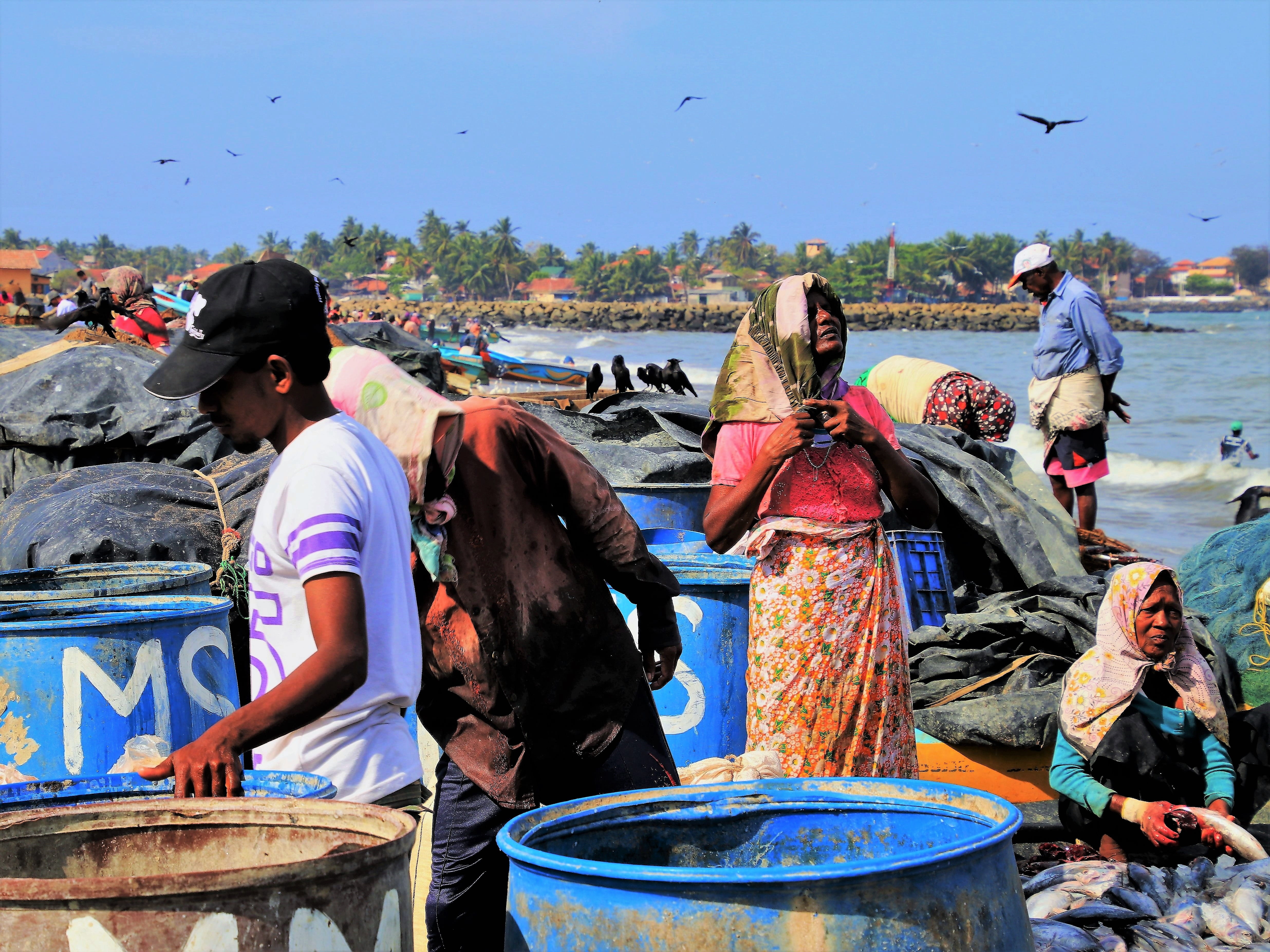 characters, boiling hot, the crisis, water, woman, the fishermen, sri lanka, exhausted, day, vertebrate, fishing vessel, total, outdoors, group of animals, HD Wallpaper