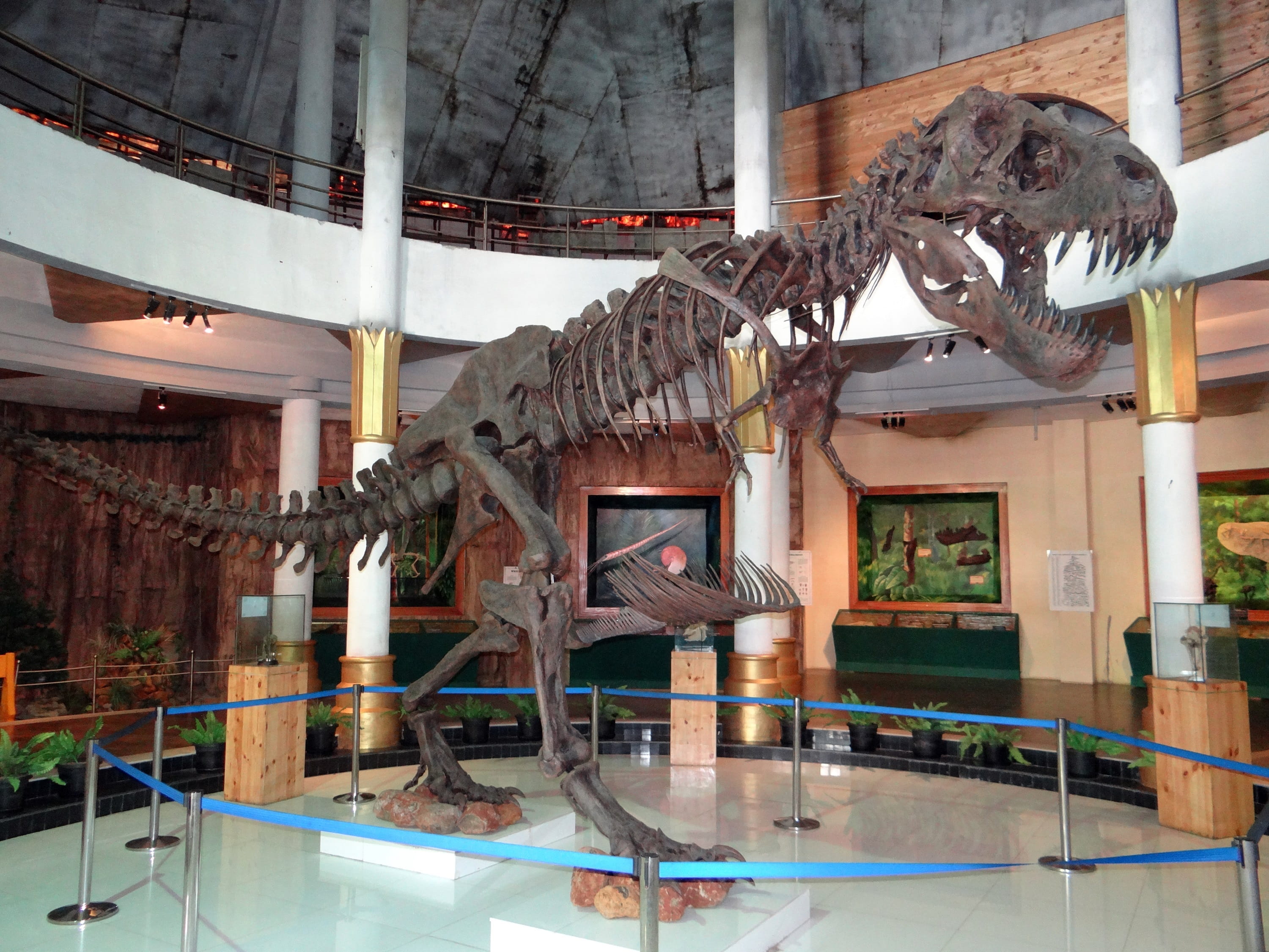 animal themes, travel destinations, ornate, day, nature, jurassic, bangalore, Dinosaur, no people, animal, Skeleton, outdoors, film city, place of worship, HD Wallpaper