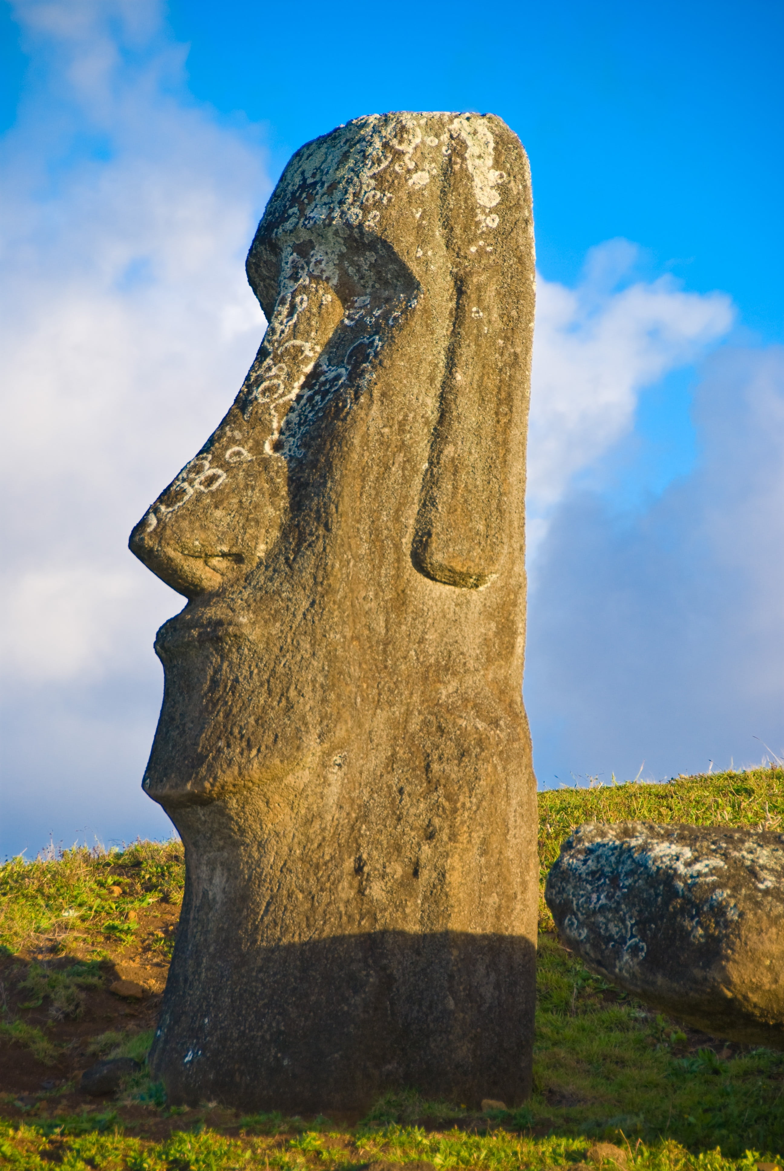rapa nui, easter, land, plant, low angle view, travel, statue, human representation, creativity, art and craft, blue, islands, solid, ancient civilization, Phone HD Wallpaper