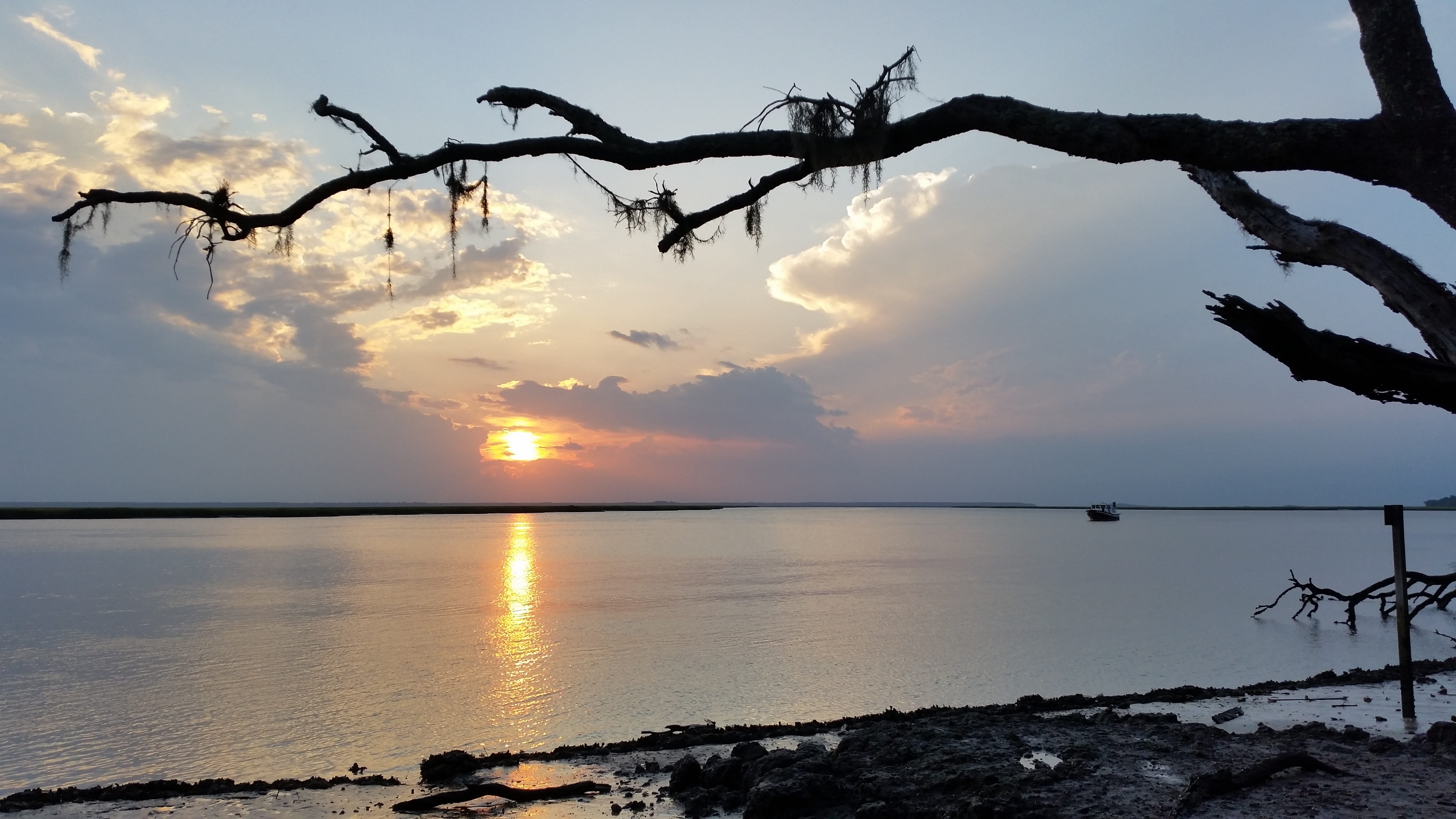 sea, reflection, tree, sunset, eastern coast, cloud - sky, tranquility, branch, silhouette, beauty in nature, cumberland island, horizon over water, scenics - nature, HD Wallpaper