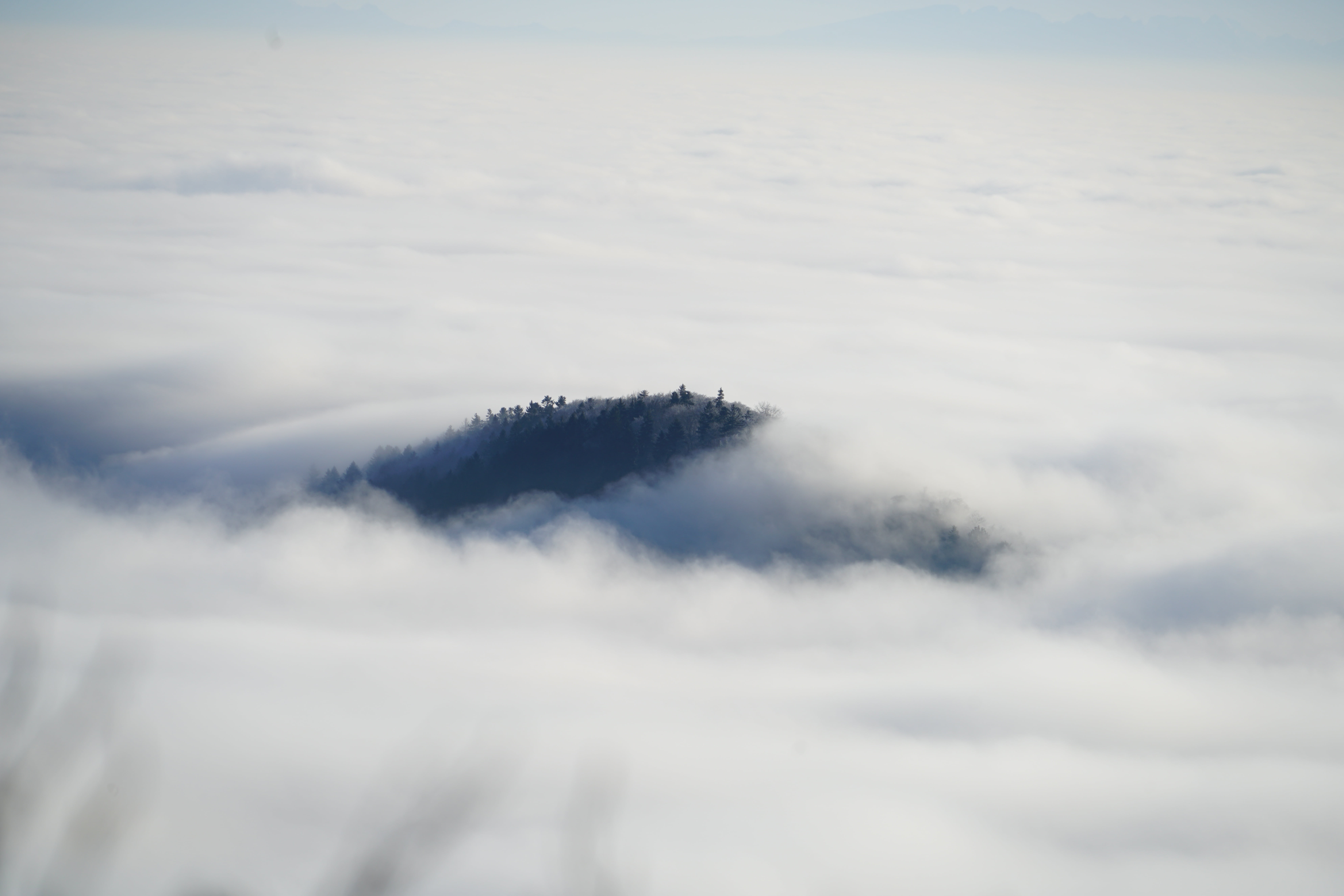 8K, no people, summit, belchenflue, view, idyllic, environment, day, fog, white, tranquil scene, scenics - nature, mountain, bird, sky, majestic, photography, HD Wallpaper