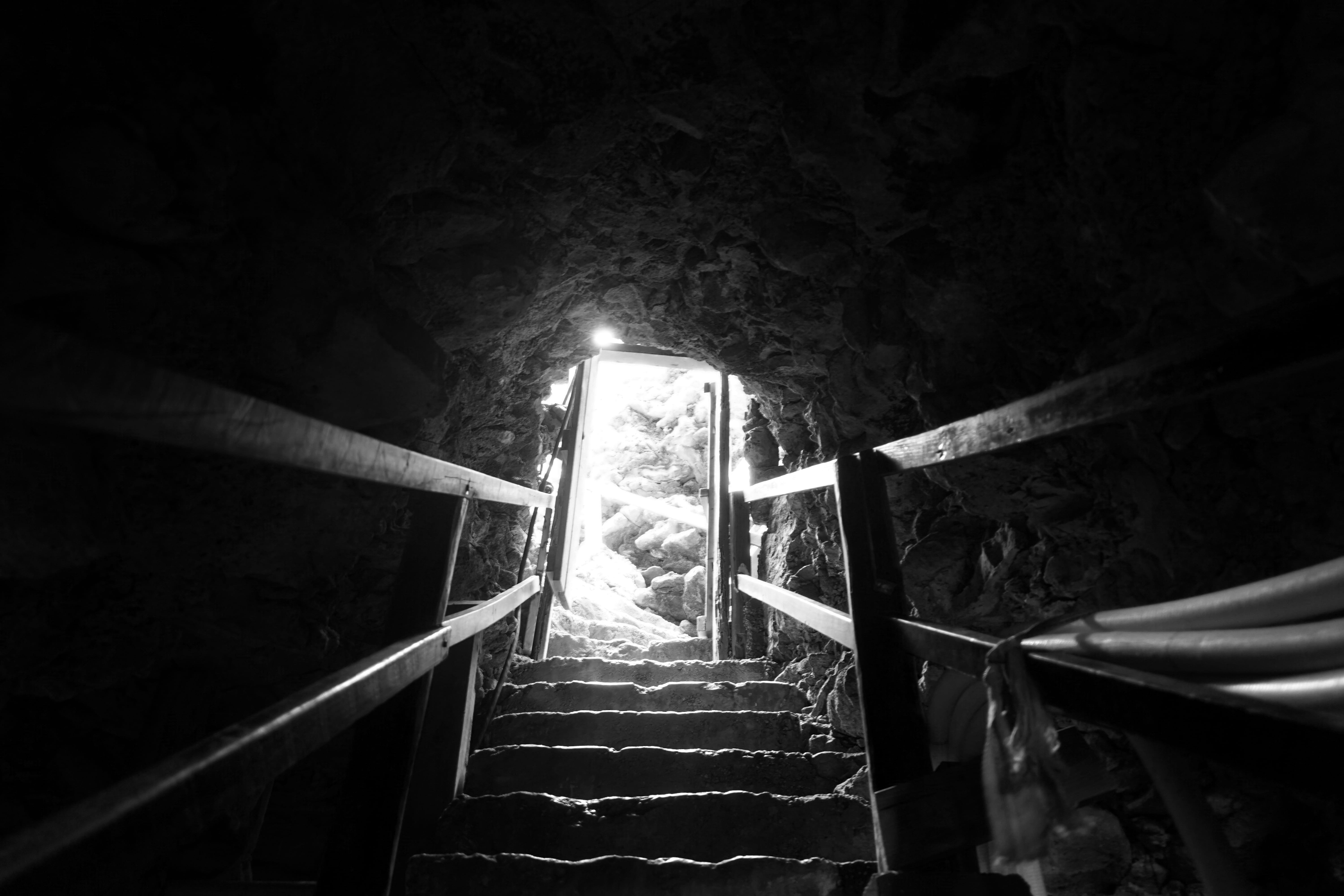 illuminated, railing, nature, barbados, stairs, moving up, architecture, light - natural phenomenon, staircase, 5K, animal flower cave, tunnel, steps and staircases, HD Wallpaper