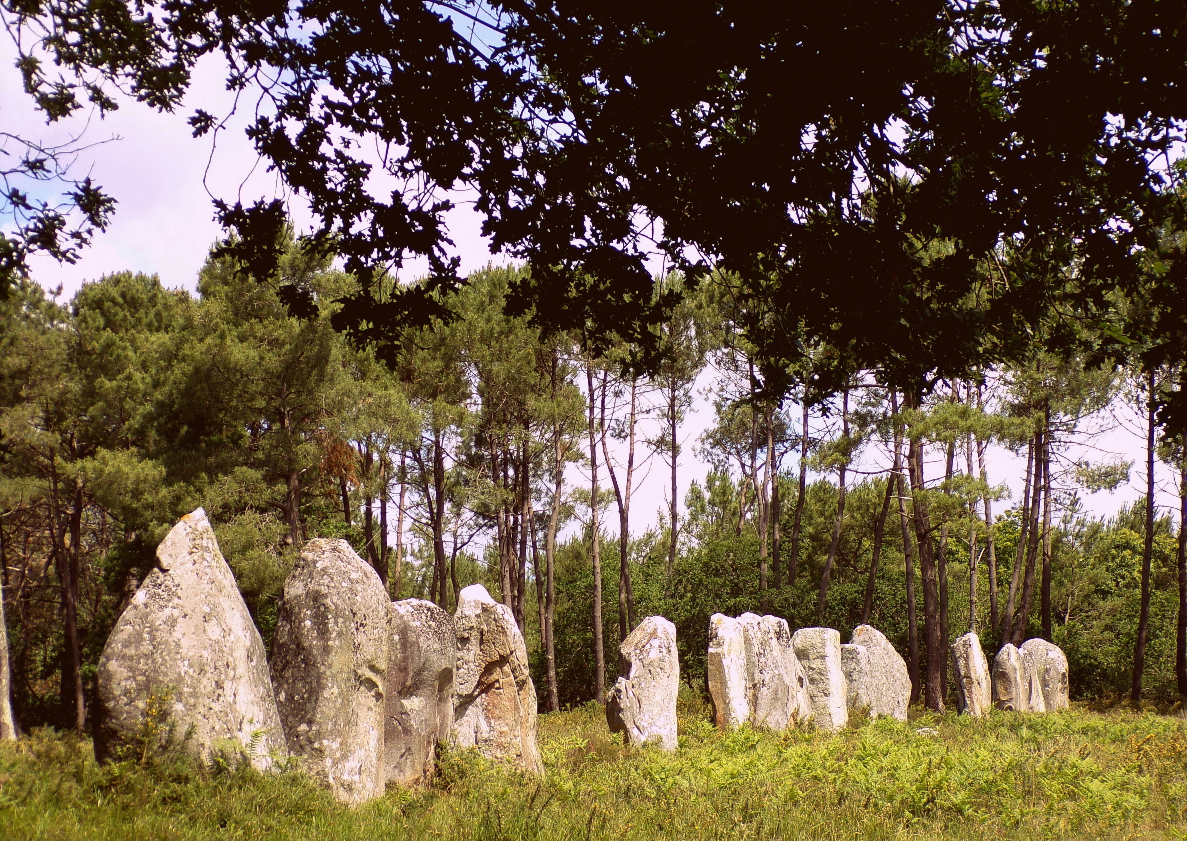 former, outdoors, day, grass, megaliths, scenics - nature, rock, no people, megalithic monument, tranquility, ancient stone, non-urban scene, beauty in nature, HD Wallpaper