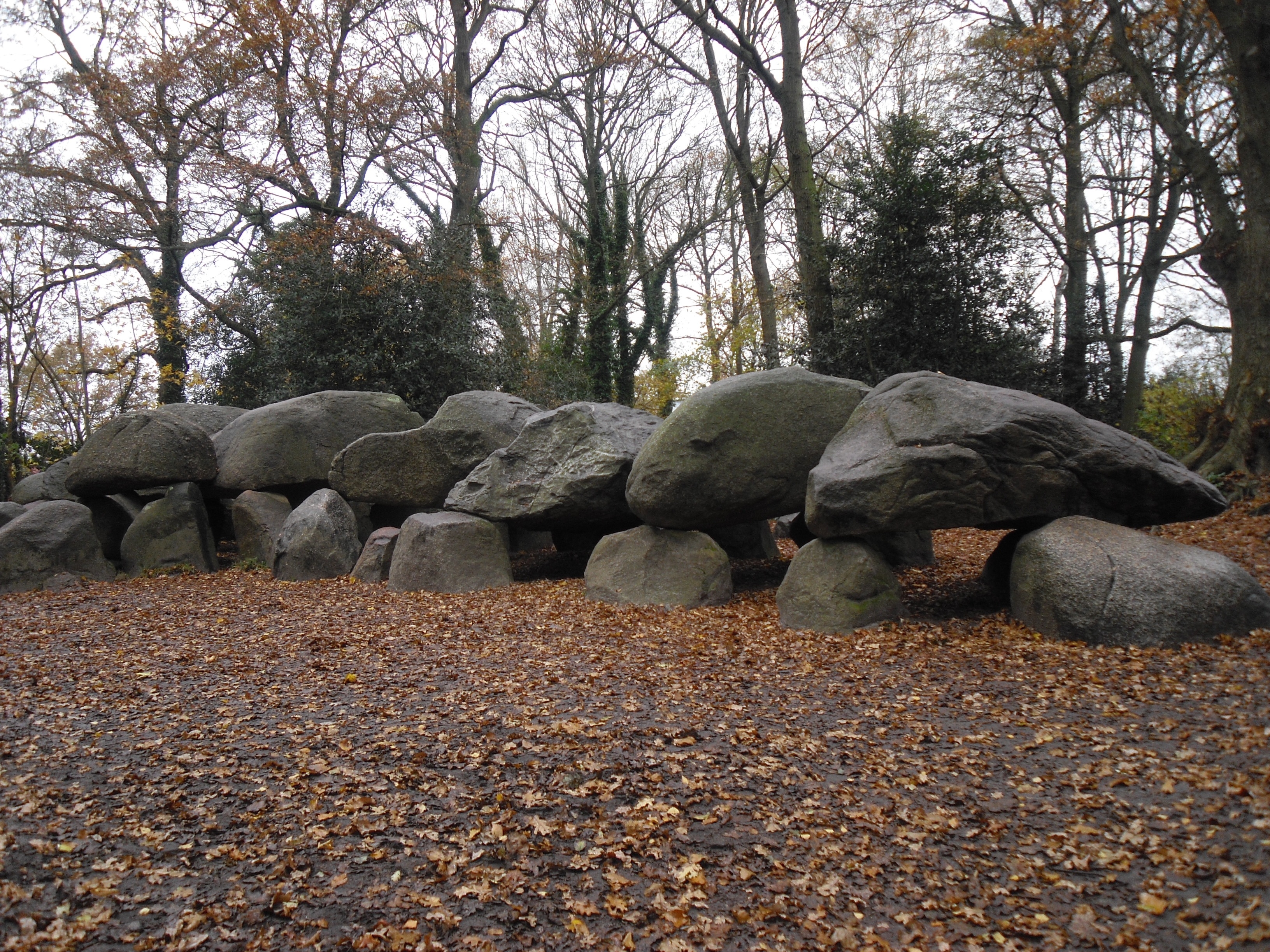 drenthe, stone, plant, growth, bare tree, day, tourism, rock - Object, tranquility, tranquil scene, change, rock, 2K, ancient times, scenics - nature, HD Wallpaper