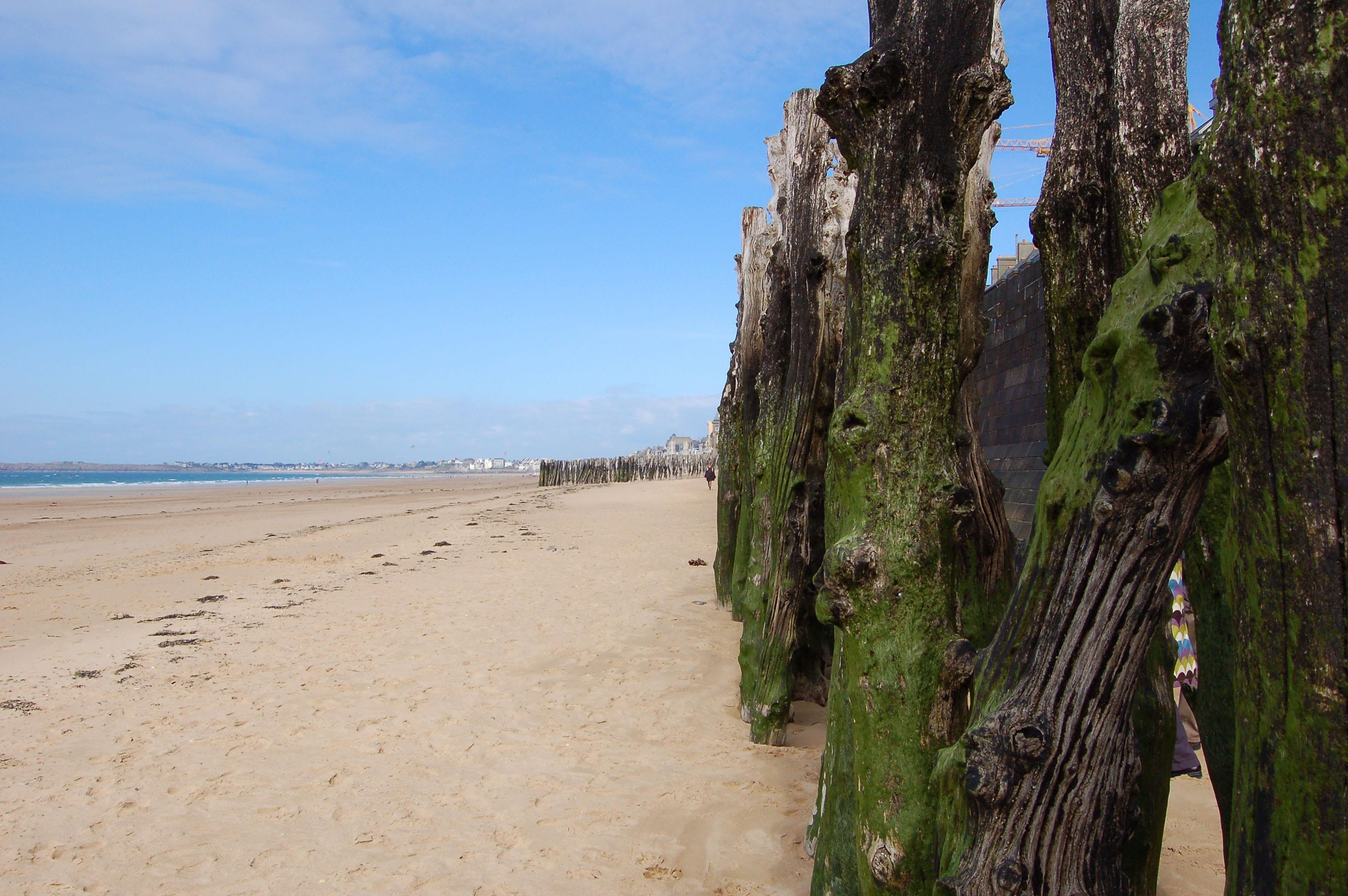 beach, sea, tranquility, beauty in nature, wide, ebb, france, 2K, sand, water, tree, sky, tranquil scene, no people, dolmen, ocean, land, horizon, scenics - nature, HD Wallpaper