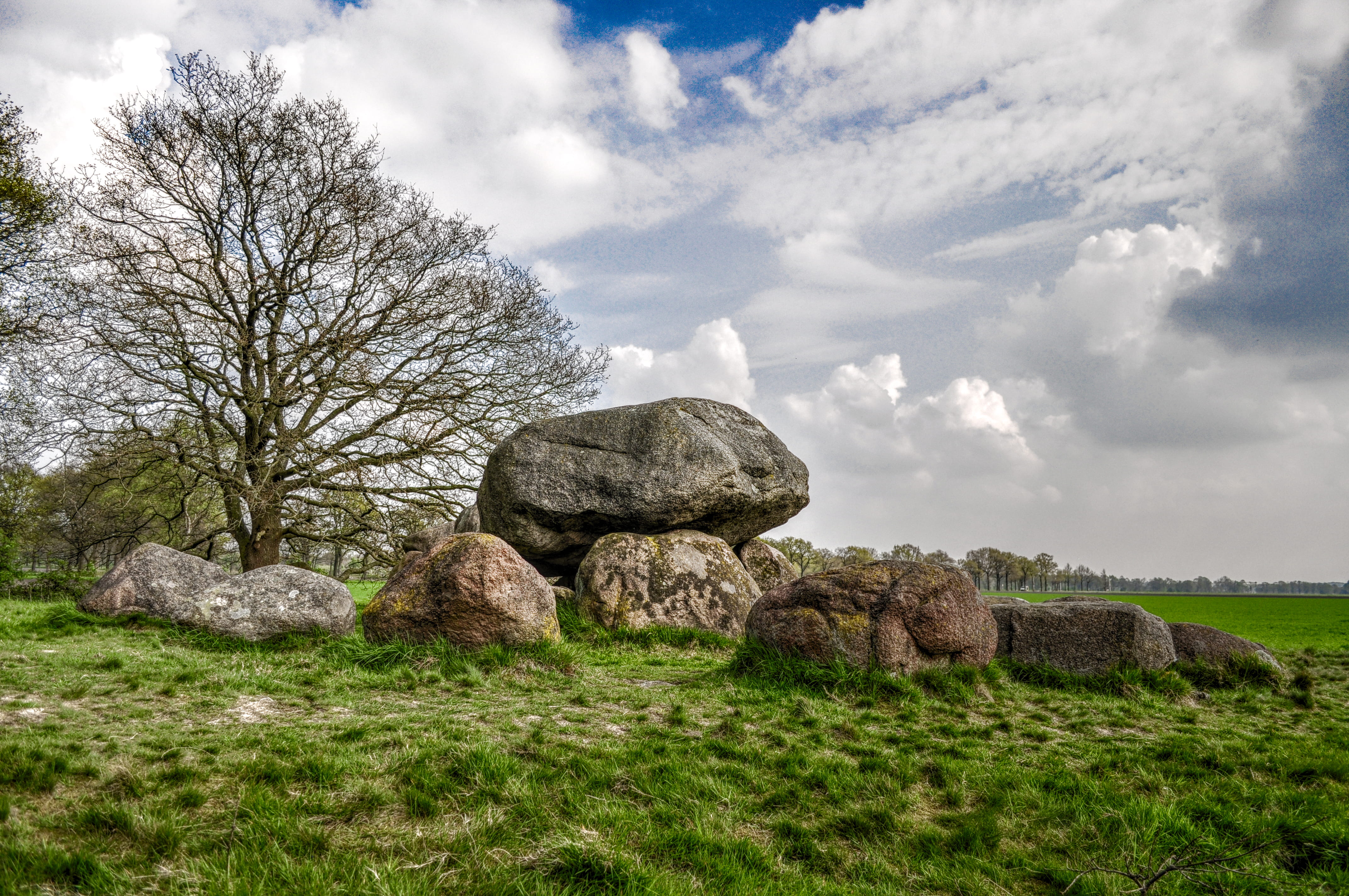 rock - object, boulder - rock, dolmen, grass, near, scenics - nature, branches, tranquility, brown, tree, solid, plant, stones, bare, rocks, nature, beauty in nature, HD Wallpaper