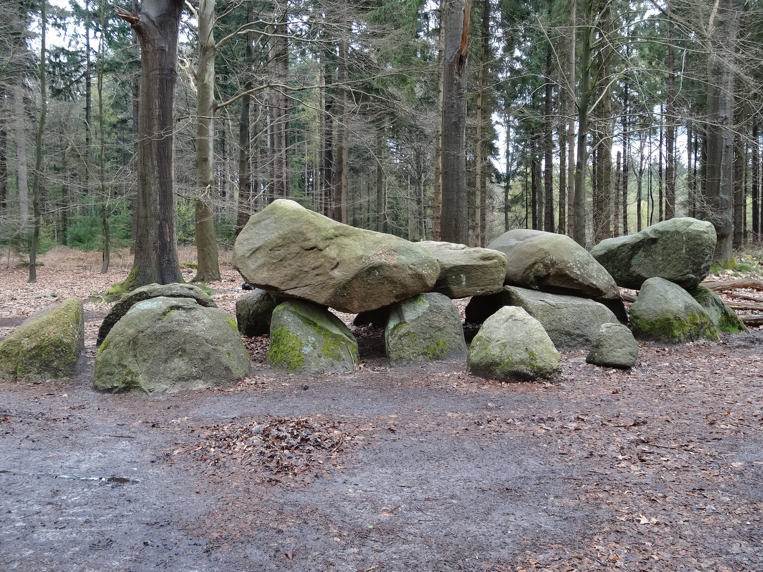 growth, solid, tomb, tourism, stones, tranquil scene, grave, dolmens, no people, nature, ancient times, countryside, woodland, land, tree trunk, tree, outdoors, HD Wallpaper