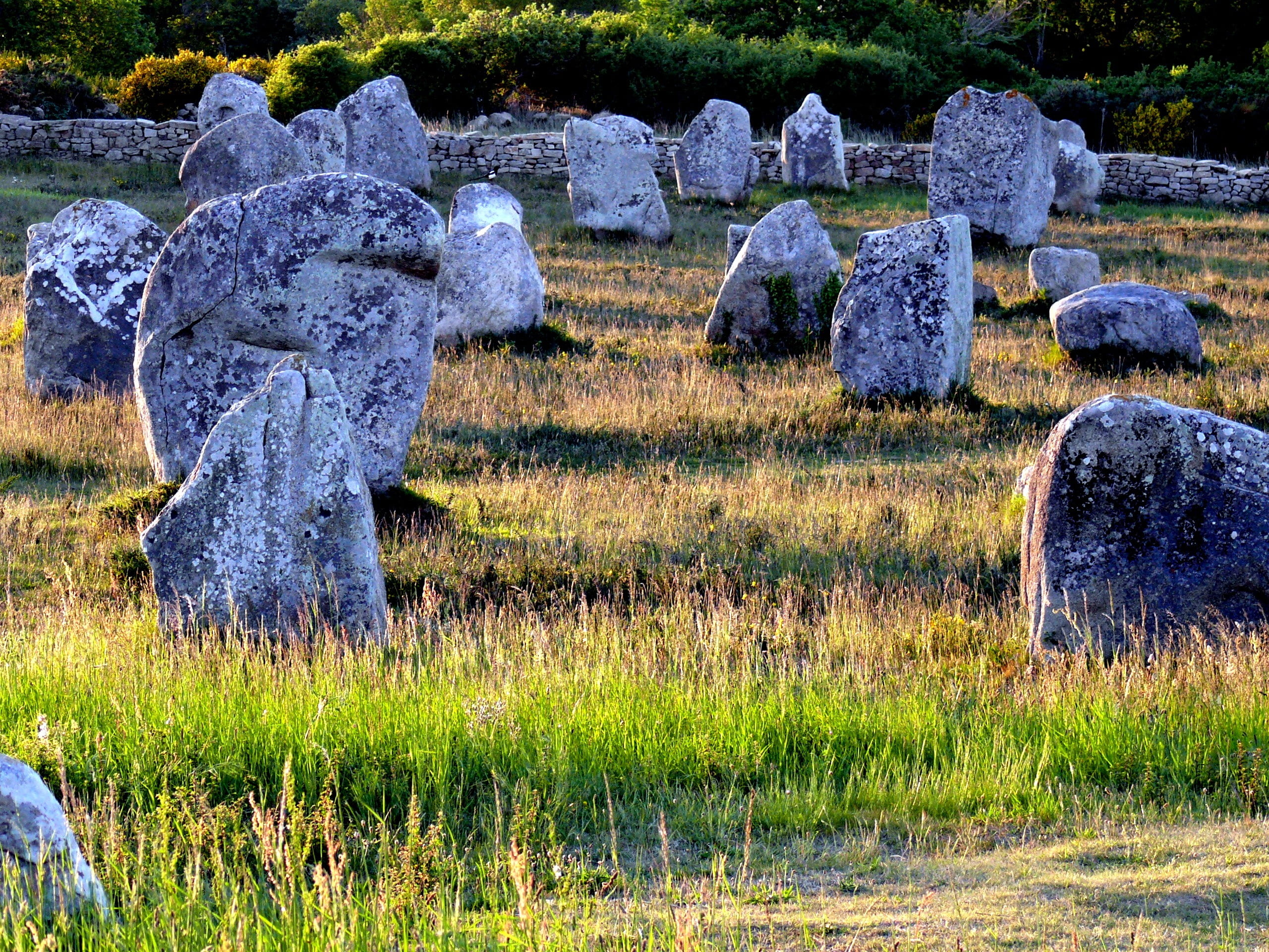 beauty in nature, land, memorial, history, brittany, plant, field, day, carnac, nature, grass, megaliths, solid, stone, no people, 2K, outdoors, growth, HD Wallpaper