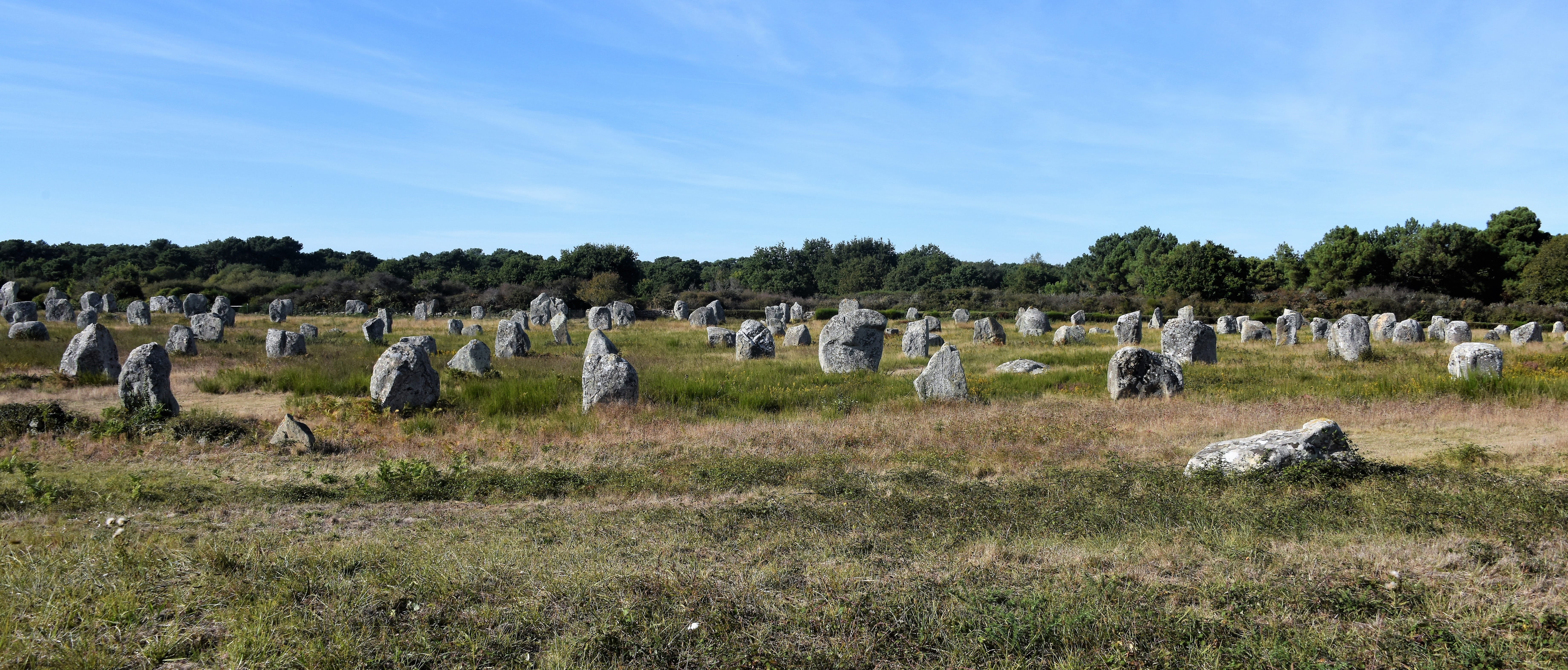 landscape, plant, sky, mégalithe, france, field, huge, nature, land, no people, stones, neolithic, menhirs, group of animals, architecture, animal, mammal, HD Wallpaper