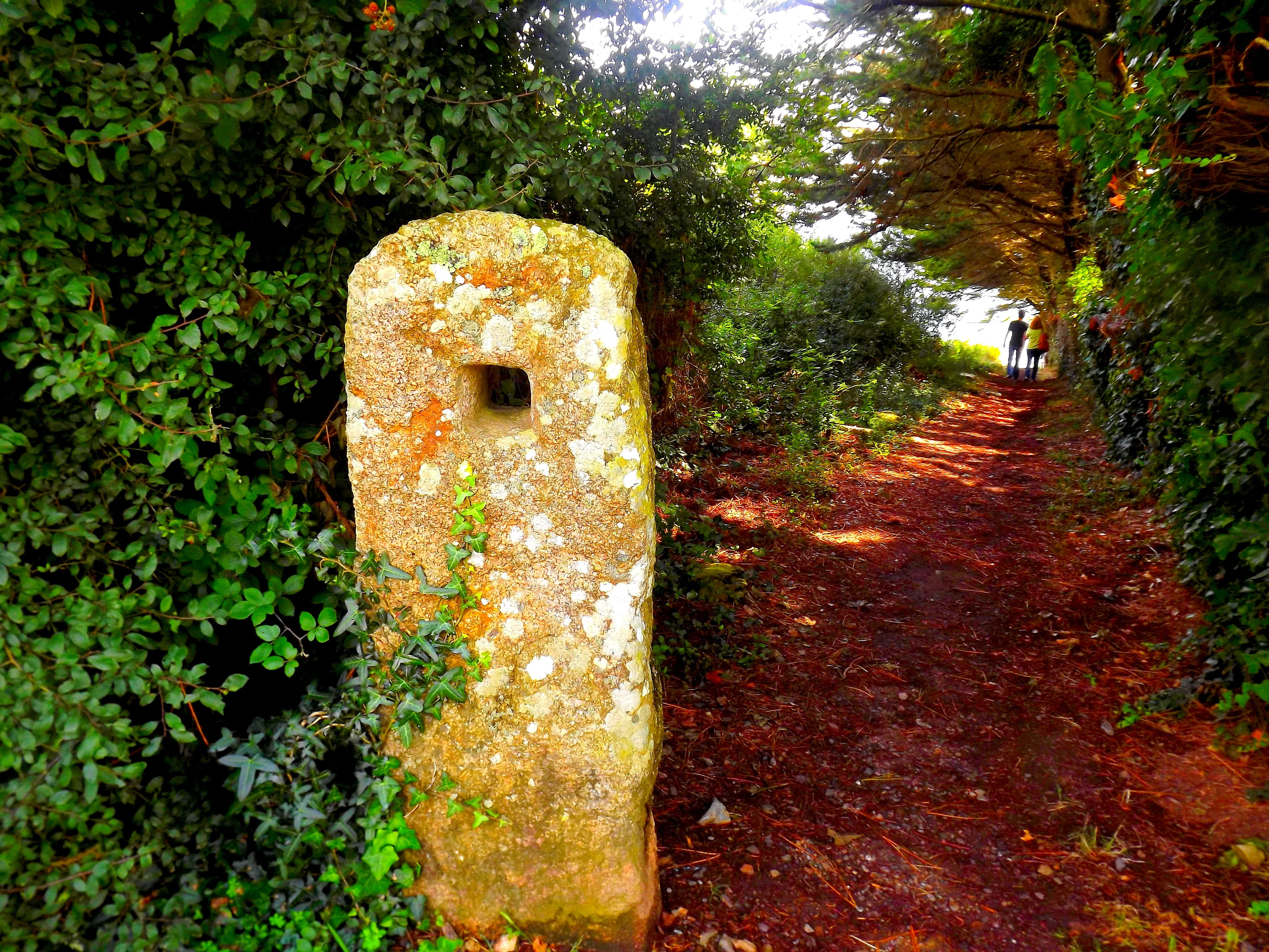 4K, weathered, trail, wall, menhir, mégalithisme, green color, plant, heritage, side, growth, deterioration, tree, pierre, the way forward, abandoned, HD Wallpaper