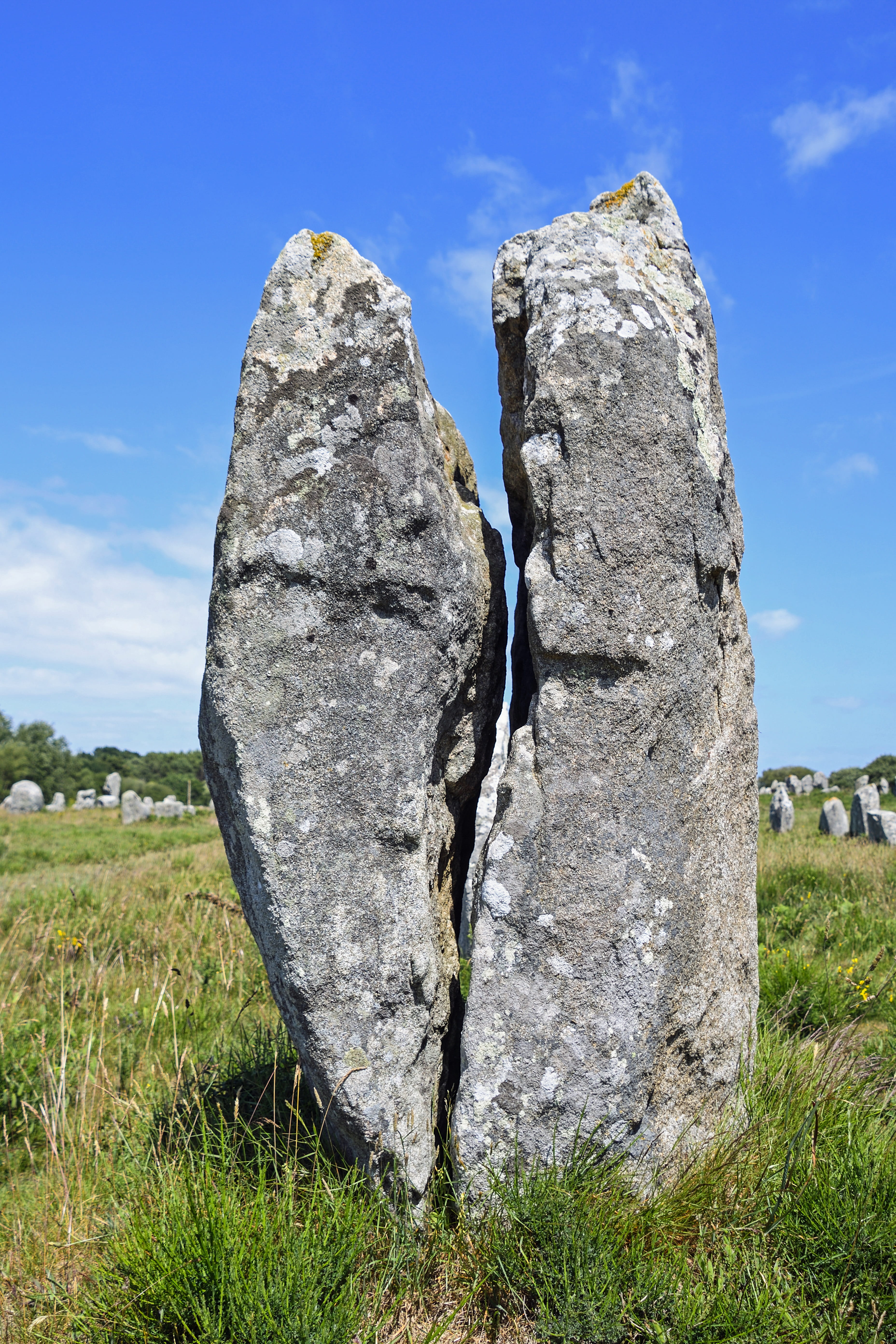 5K, outdoors, day, no people, non-urban scene, alignments of ménec, pierre, plant, scenics - nature, land, Menhir, solid, sky, sunlight, mégalithisme, Phone HD Wallpaper