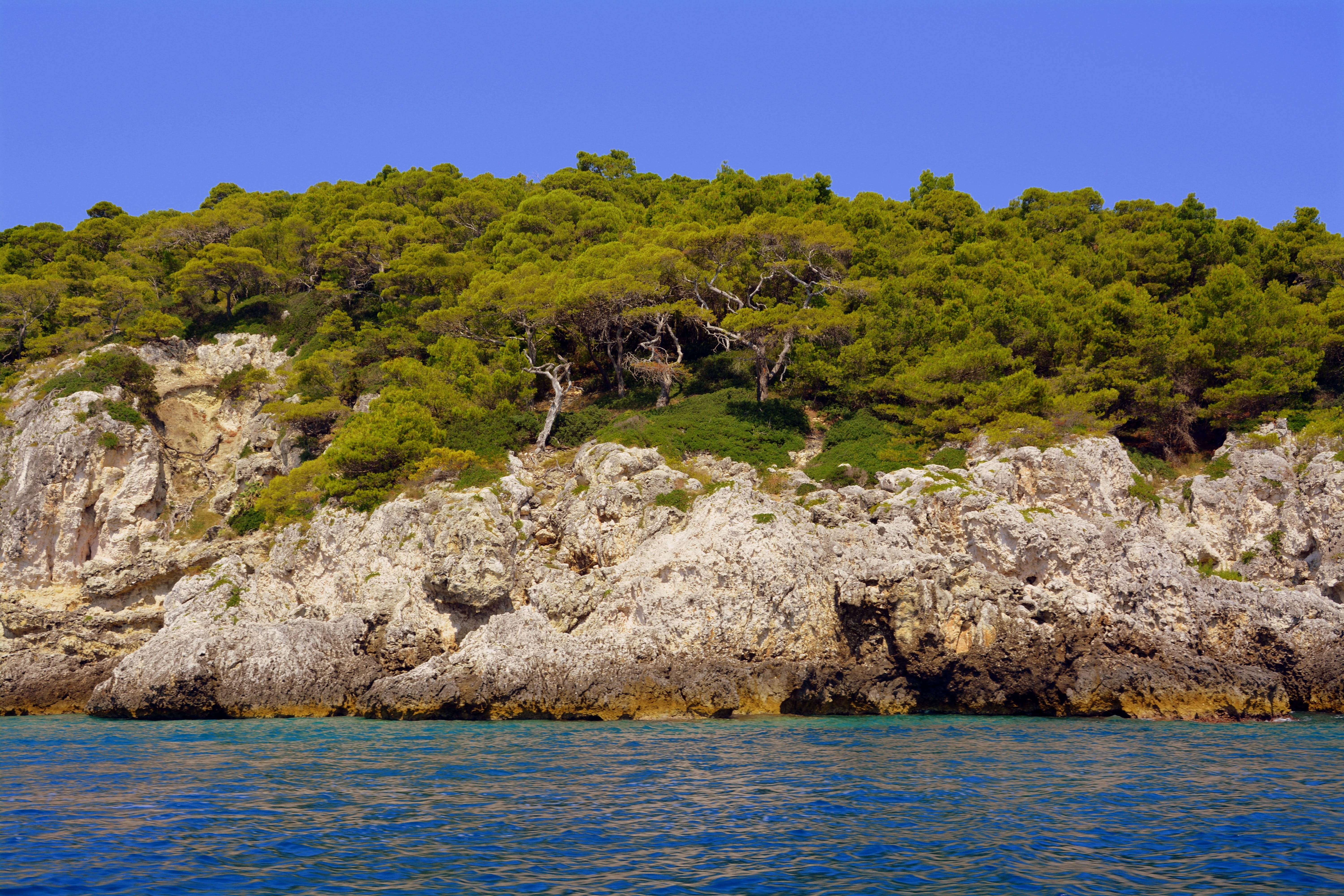 cliffs, trees, rock, tranquil scene, 5K, plant, nature, tree, forest, scenics - nature, rock - object, gargano, blue, outdoors, no people, puglia, tranquility, HD Wallpaper