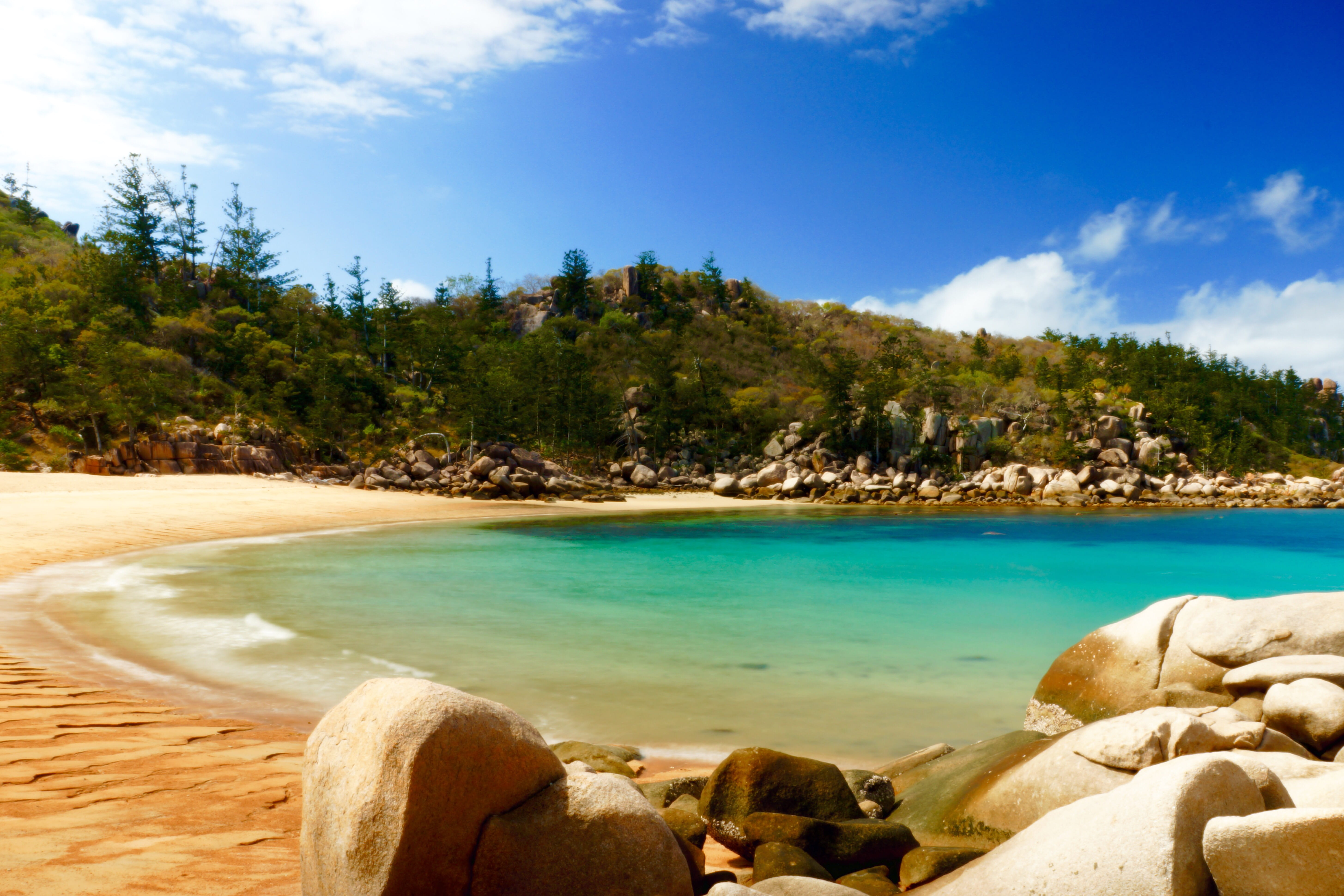 sea, outdoors, turquoise colored, australia, 5K, scenics - nature, no people, beauty in nature, tranquility, tree, rock, solid, magnetic island, water, HD Wallpaper