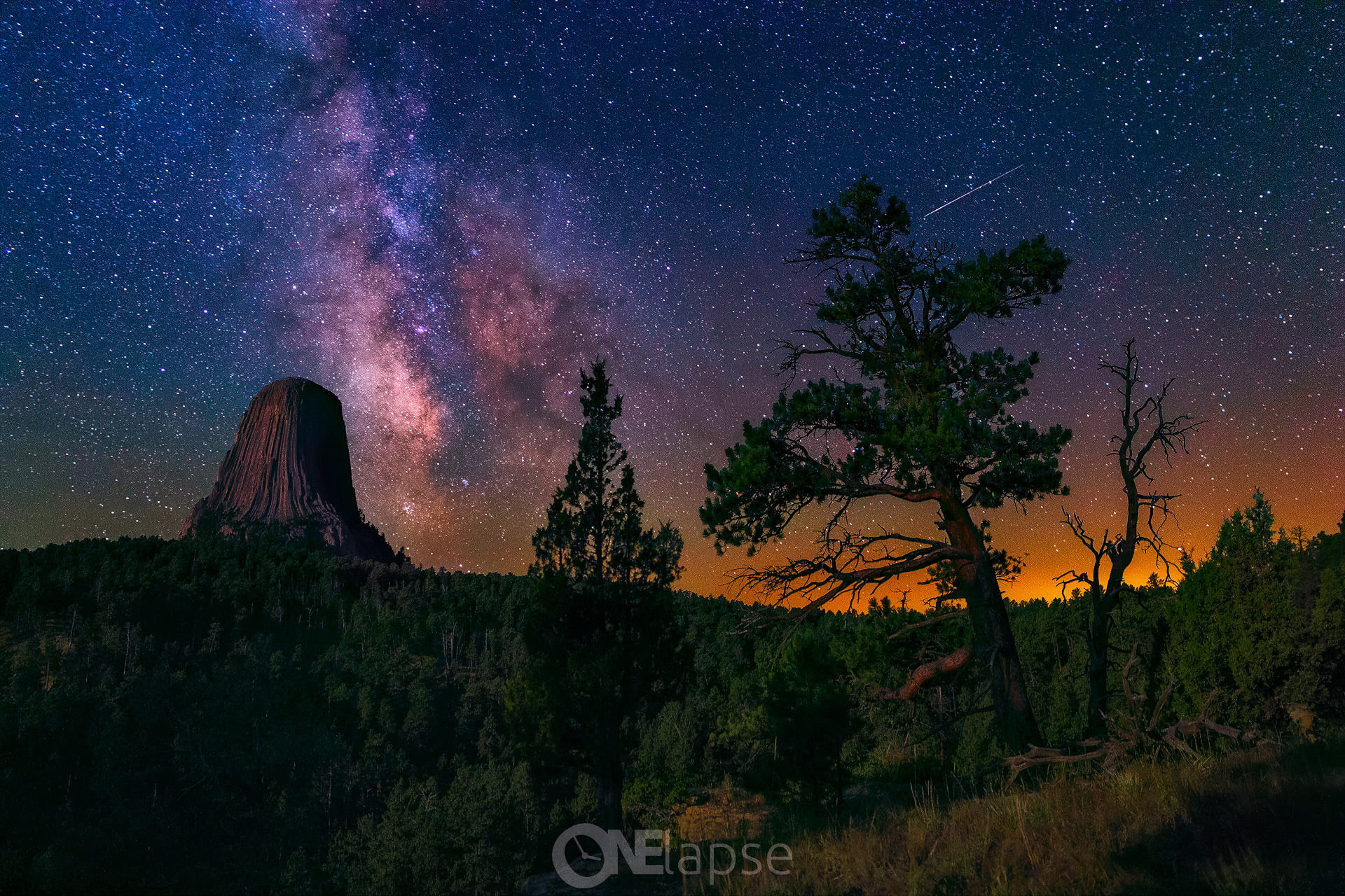 night, the milky way, 1080P, non-urban scene, galaxy, leafed, travel destinations, tree, the natural monument Devils Tower, space, outdoors, plant, trees, HD Wallpaper