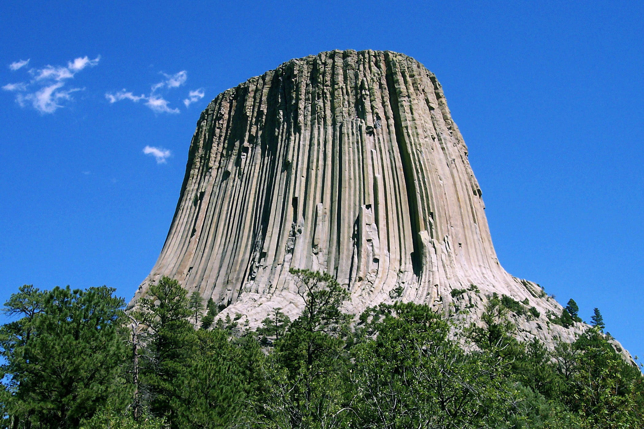 scenics - nature, rock, sky, devils, famous Place, tranquility, bark, outdoors, tree, rock - Object, wyoming, trees, 1080P, plant, clear sky, tower, cliff, HD Wallpaper