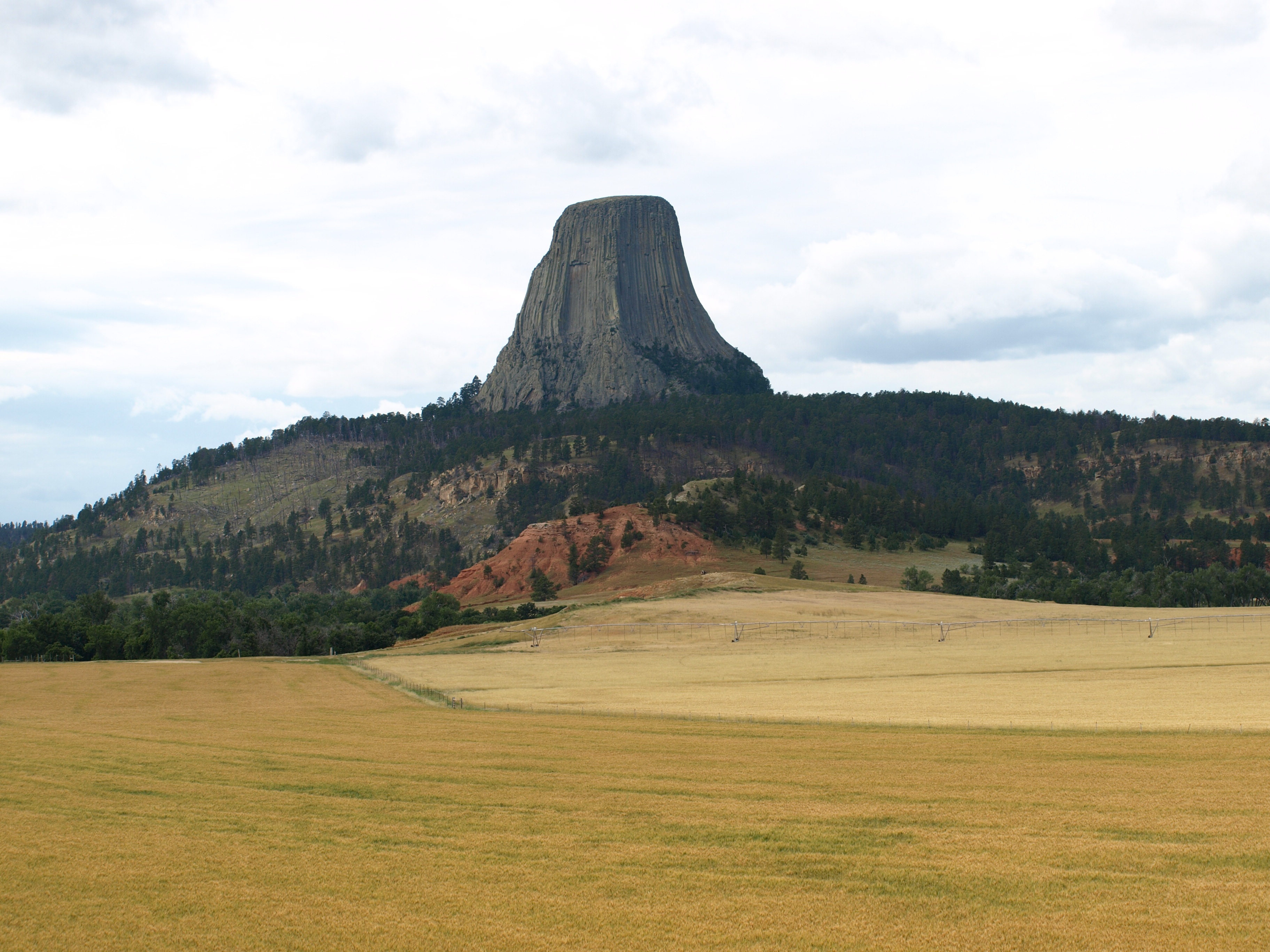 tree, nature, wyoming, usa, rock formation, land, landscape, formation, scenics - nature, no people, grass, beauty in nature, mountain peak, cloud - sky, HD Wallpaper