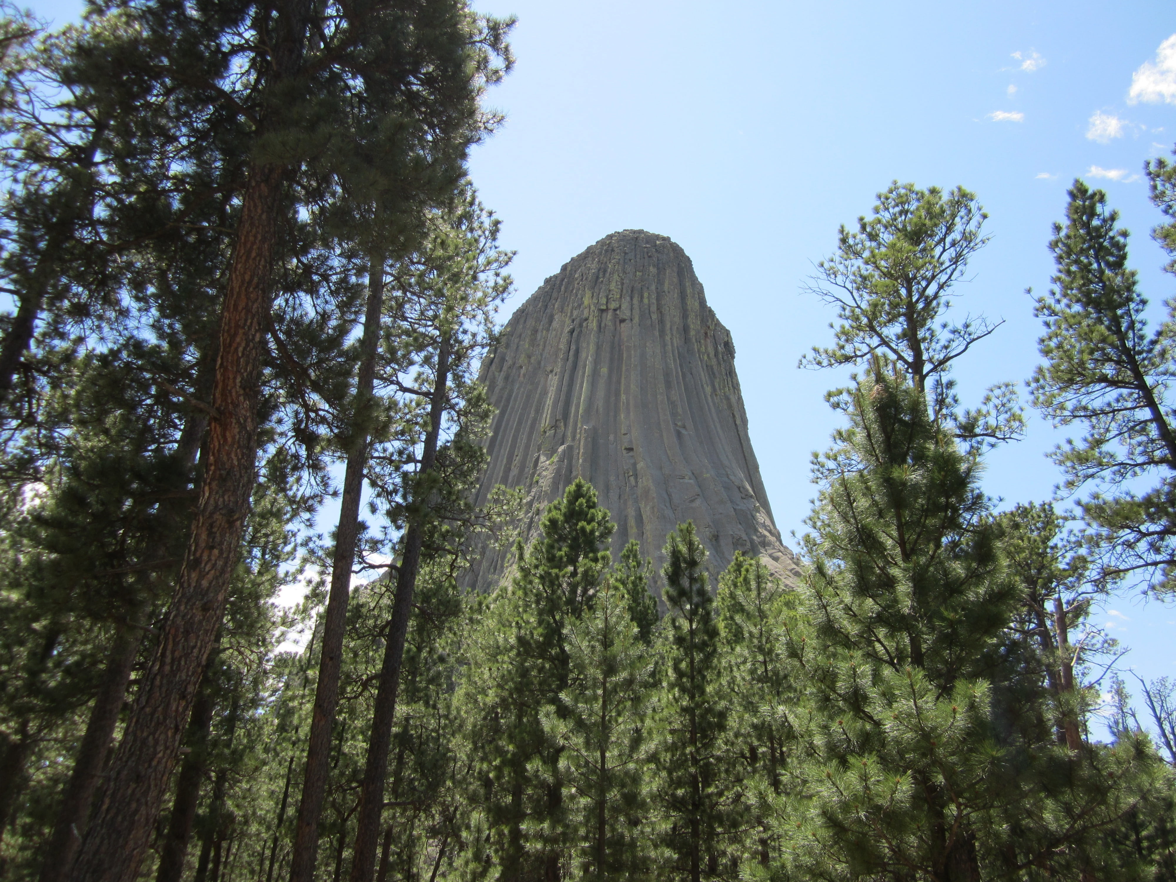 national park, outdoors, non-urban scene, plant, clear sky, nature, beauty in nature, tranquility, 4K, tree, devils tower, tranquil scene, low angle view, HD Wallpaper
