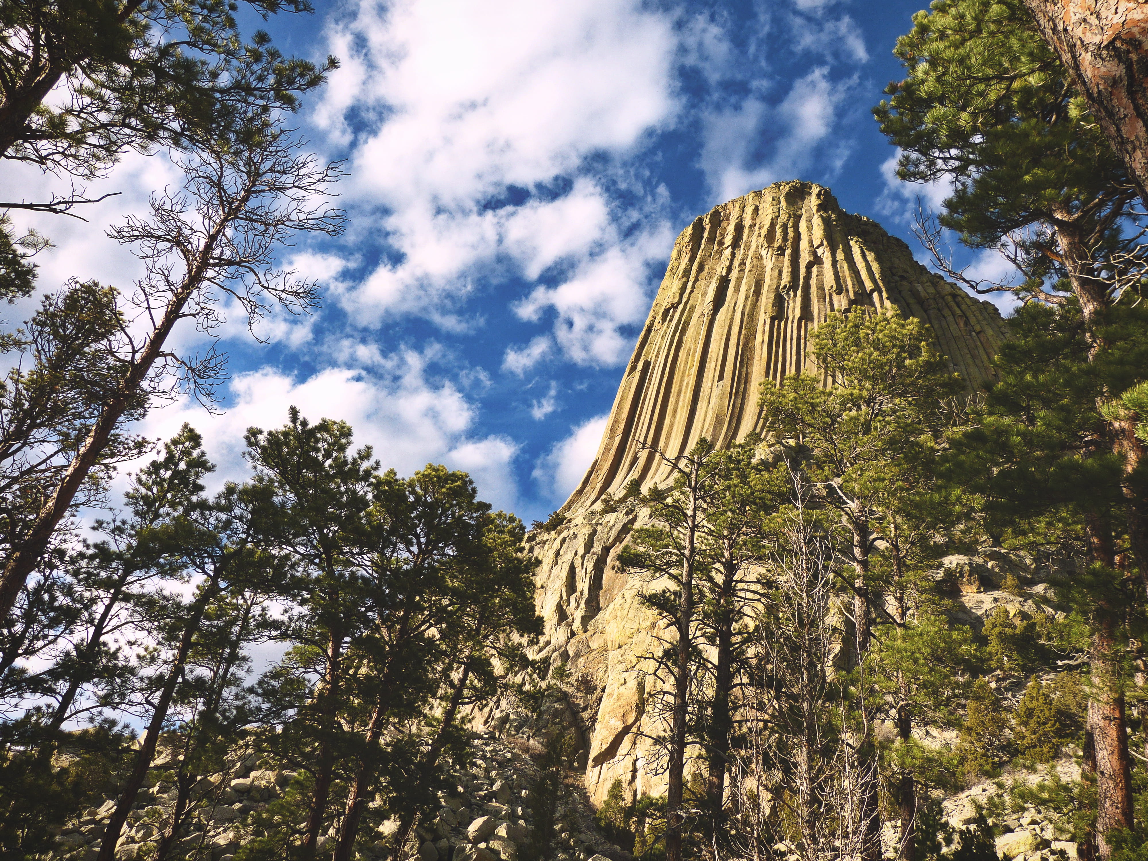 national park, sky, growth, scenics - nature, cloud - sky, outdoors, plant, monument, rock formation, rock - object, rock, day, no people, devils, nature, HD Wallpaper