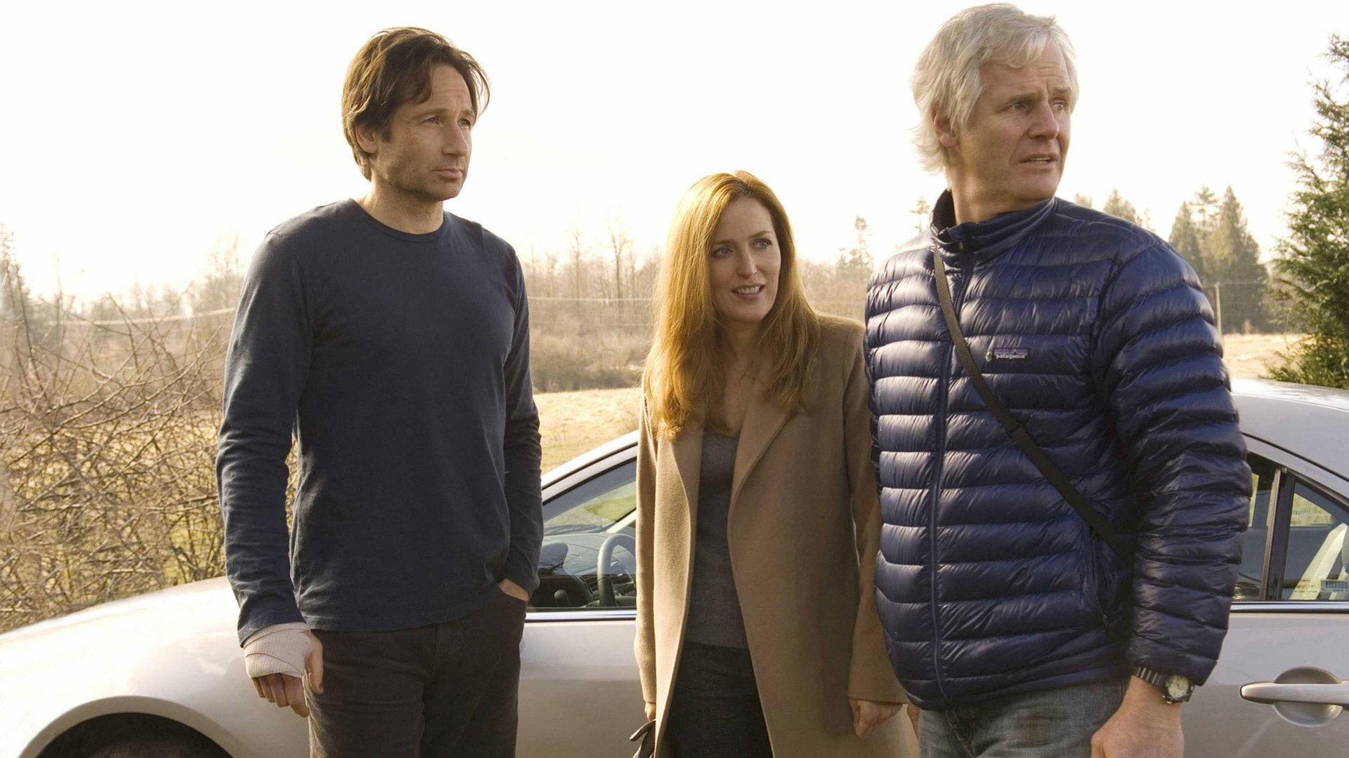 Fox Mulder, Gillian Anderson, The X Files: I Want to Believe, Dana Scully, Movie, 1080P, David Duchovny, HD Wallpaper