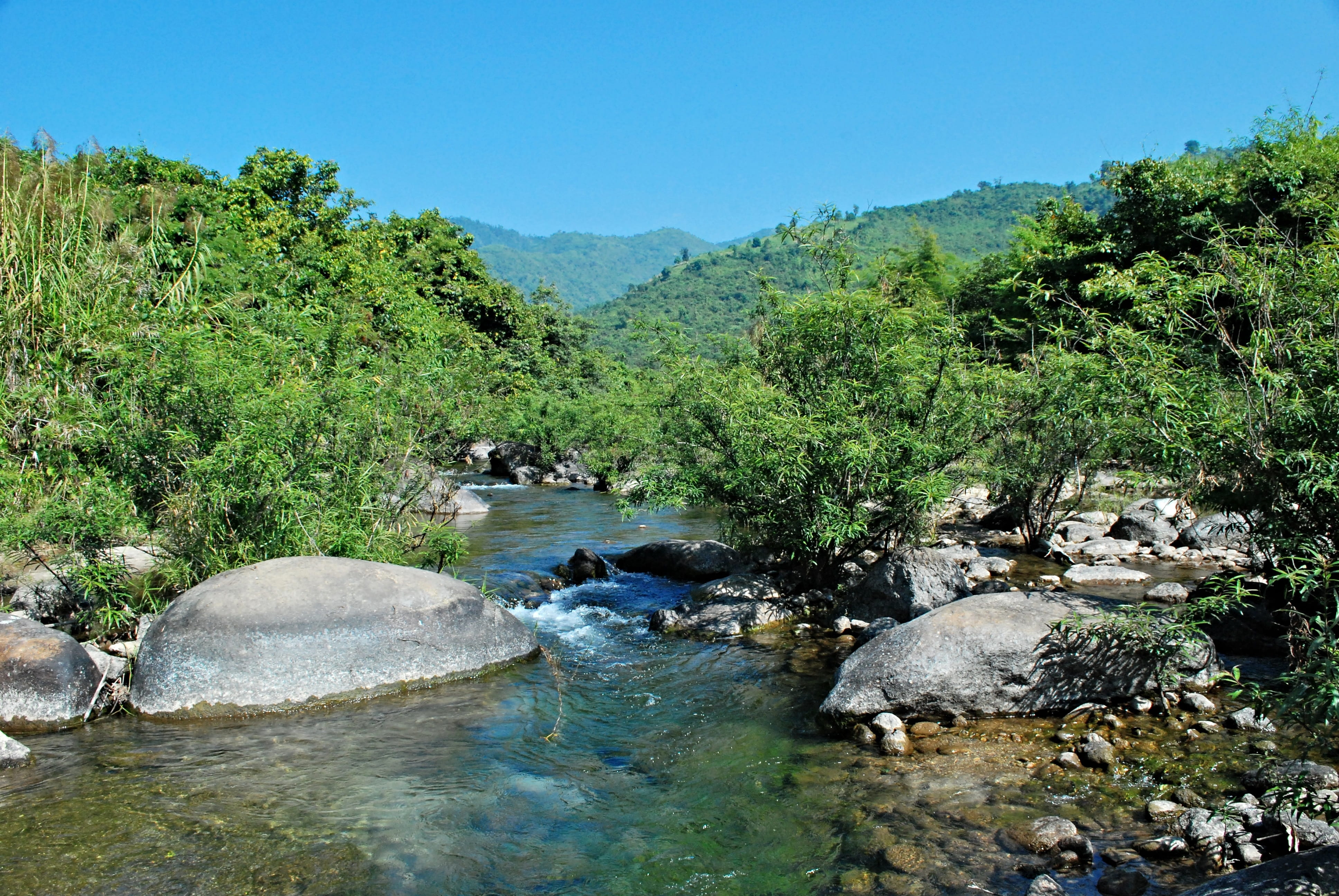 no people, land, plant, creak, non-urban scene, myanmar, day, river, tree, water, nature, flowing water, outdoors, beauty in nature, stream - flowing water, HD Wallpaper