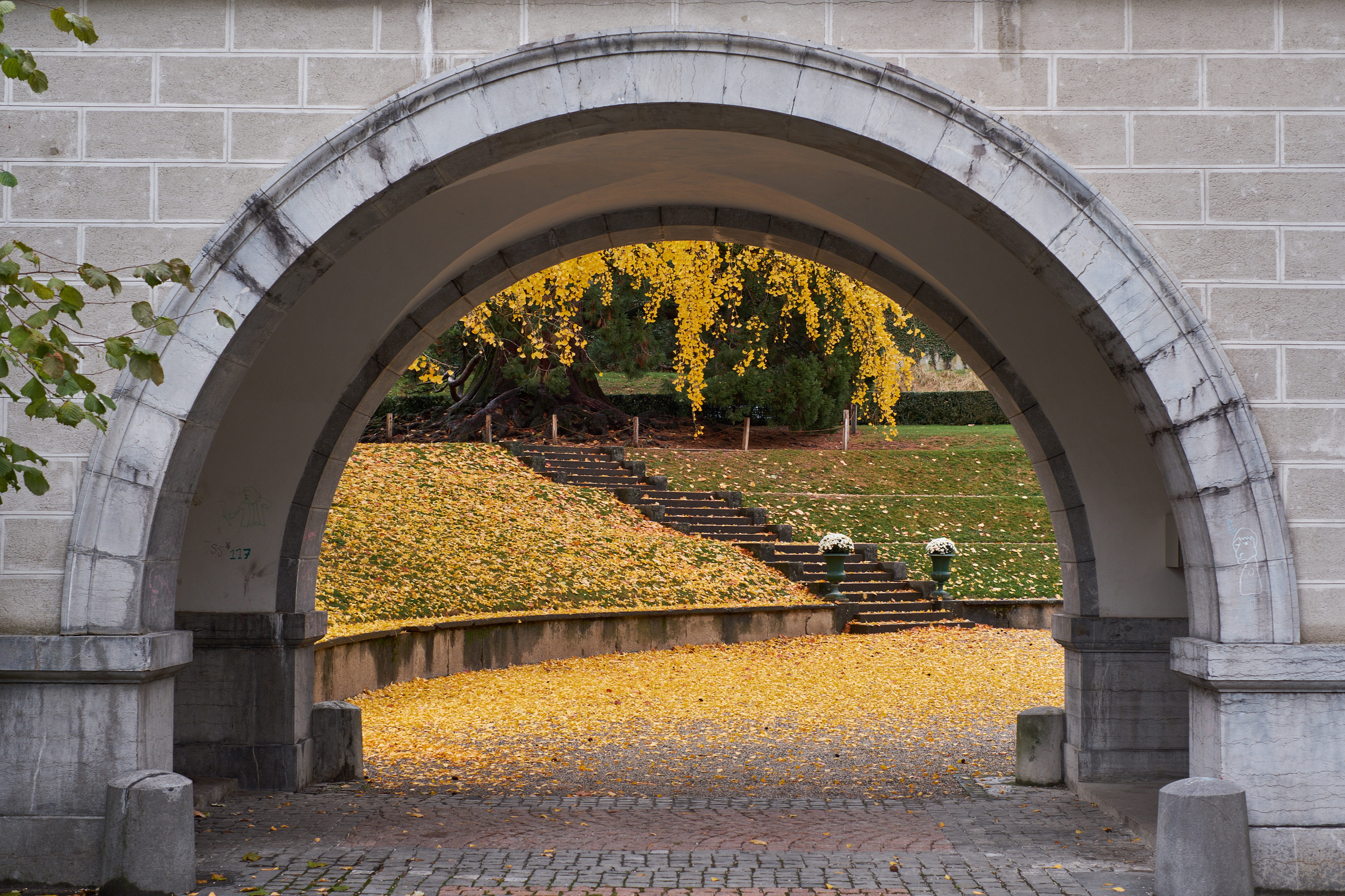 switzerland, parc de mon repos, architecture, arc, autmn, arch, arched, stairs, outdoors, footpath, nature, park, plant, wall, tree, direction, trees, growth, HD Wallpaper