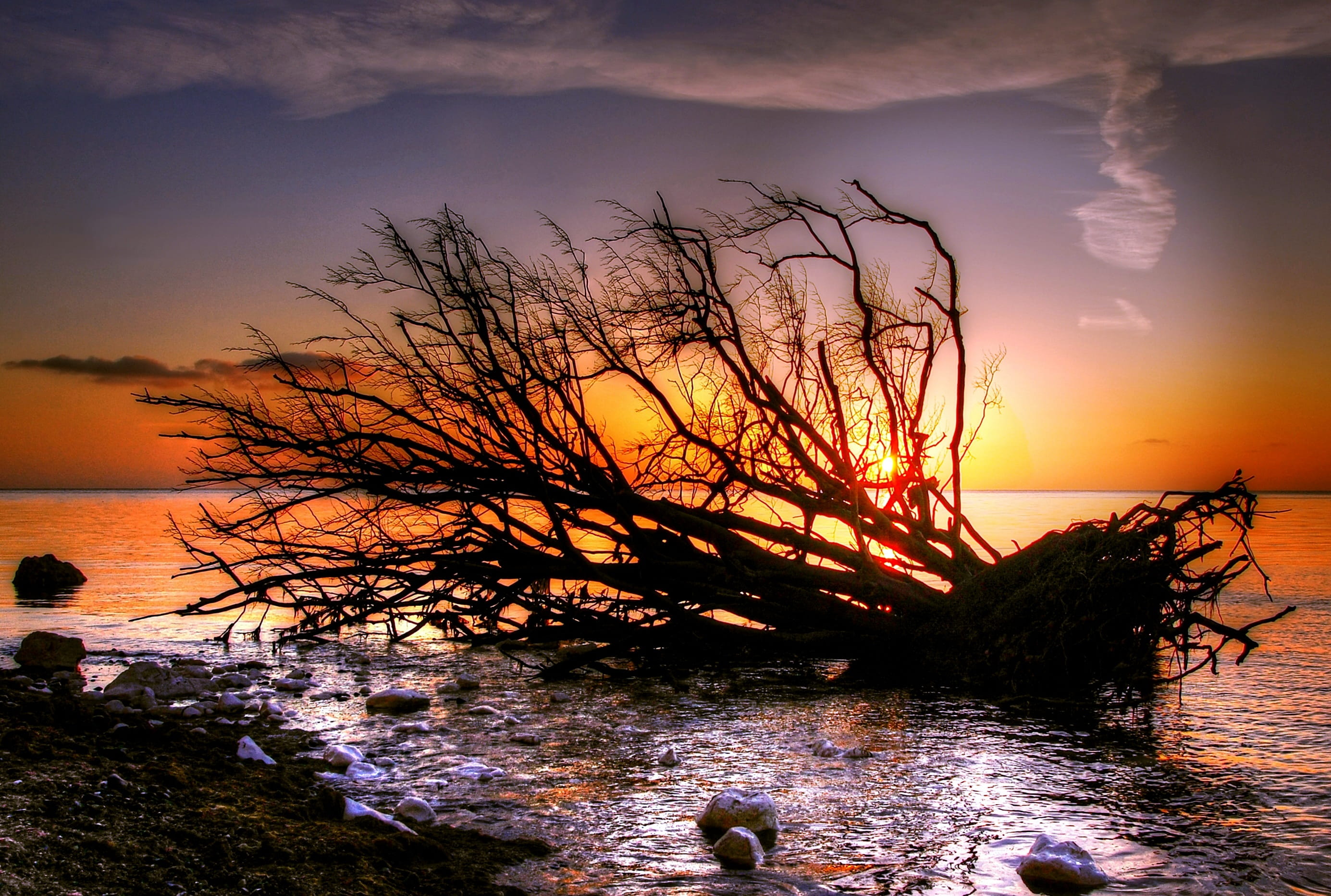 Nature, driftwood, horizon over water, landscape, lake, wave, seashore, rock, sand, sea, pebble, no people, beauty in nature, tranquility, reflection, moens klint, HD Wallpaper
